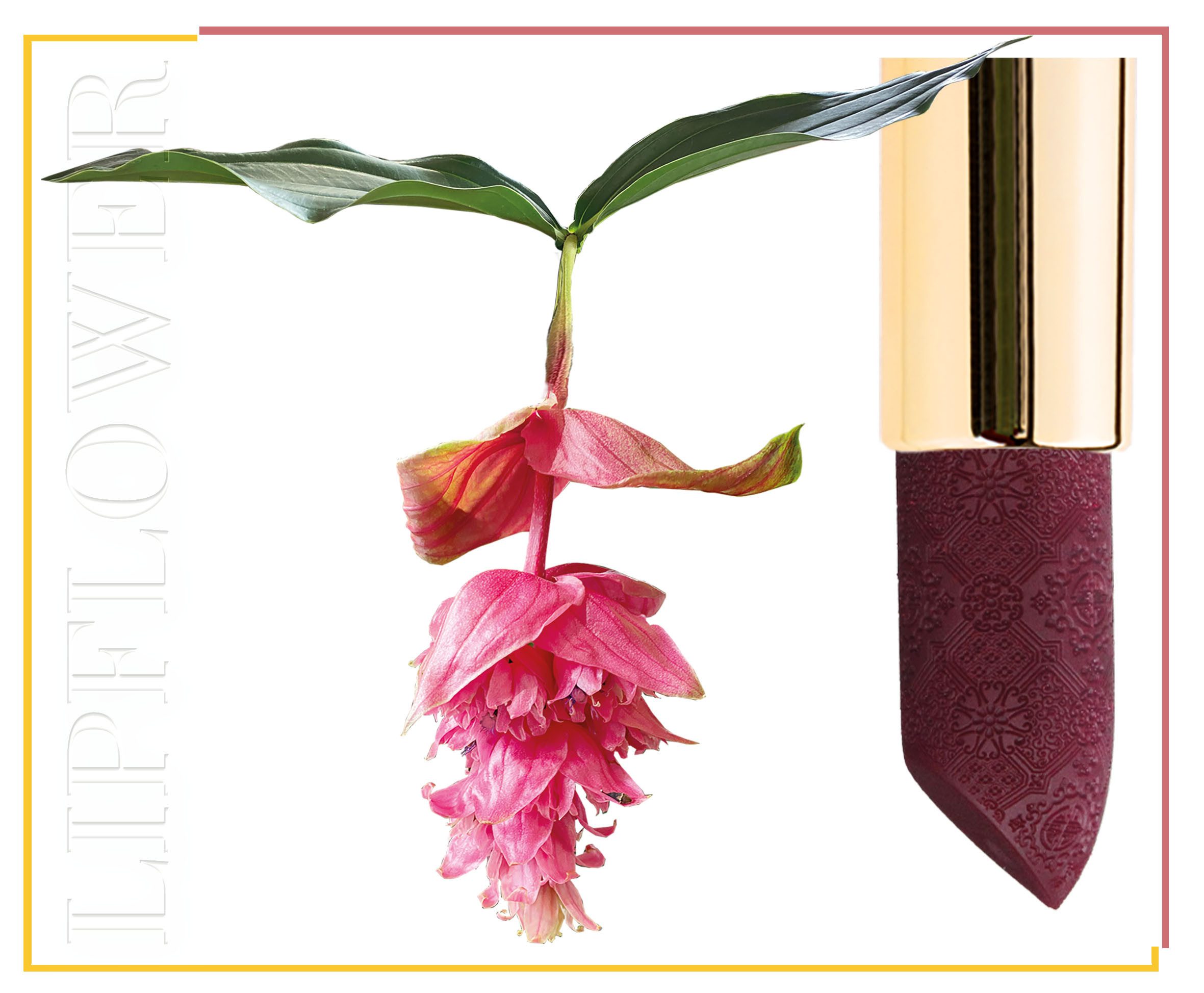 Shaoyun Lippenstift OHNE Titandioxid, VEGAN, aus Bio-Rohstoffen, Medinilla Nr. 185