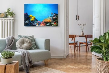 Sinus Art Leinwandbild 120x80cm Wandbild auf Leinwand Korallenriff Korallen unter Wasser Foto, (1 St)