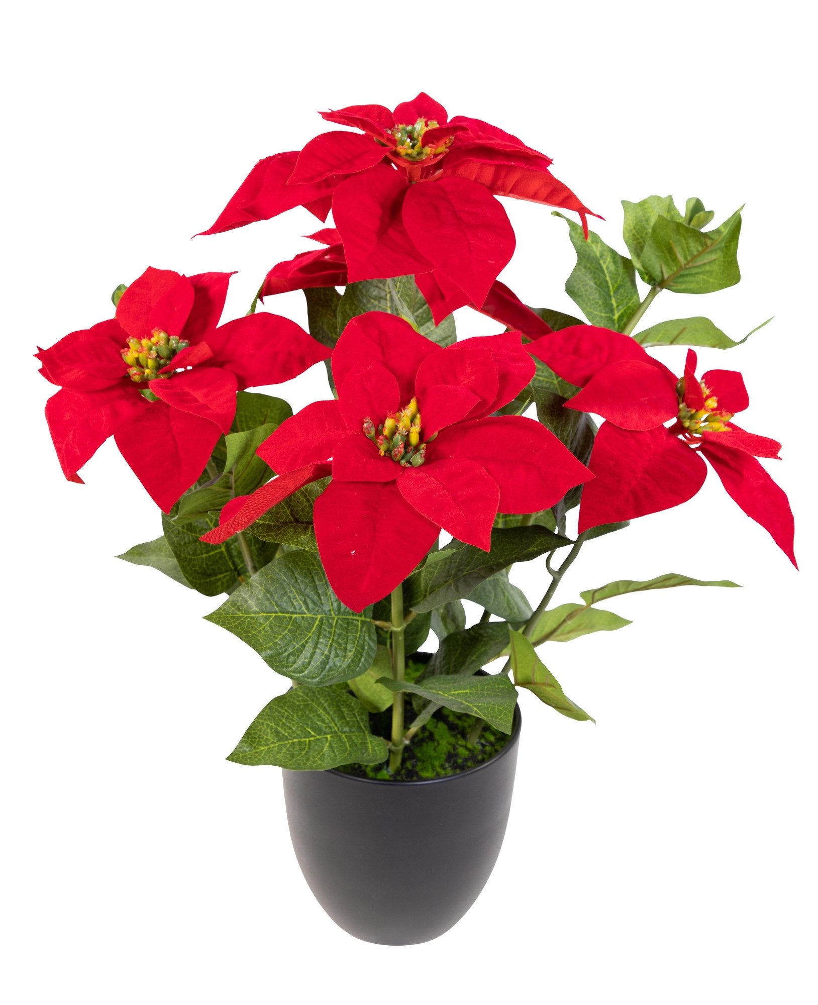 Kunstblume Großer Weihnachtsstern 56cm rot im Topf DP Kunstblumen künstlich günstig online kaufen