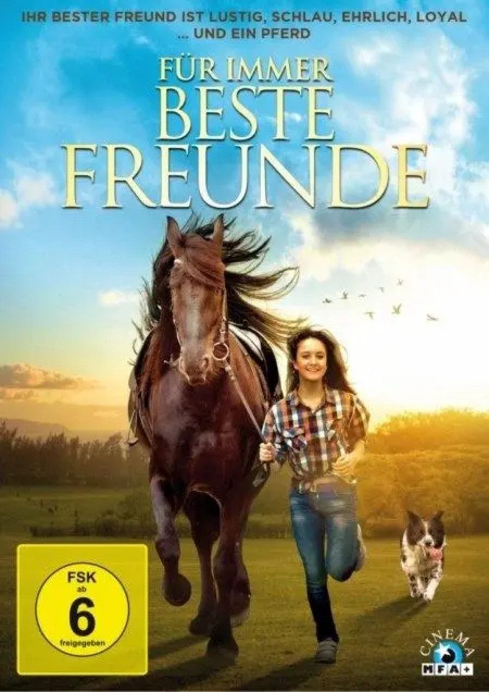 DVD Für immer beste Freunde