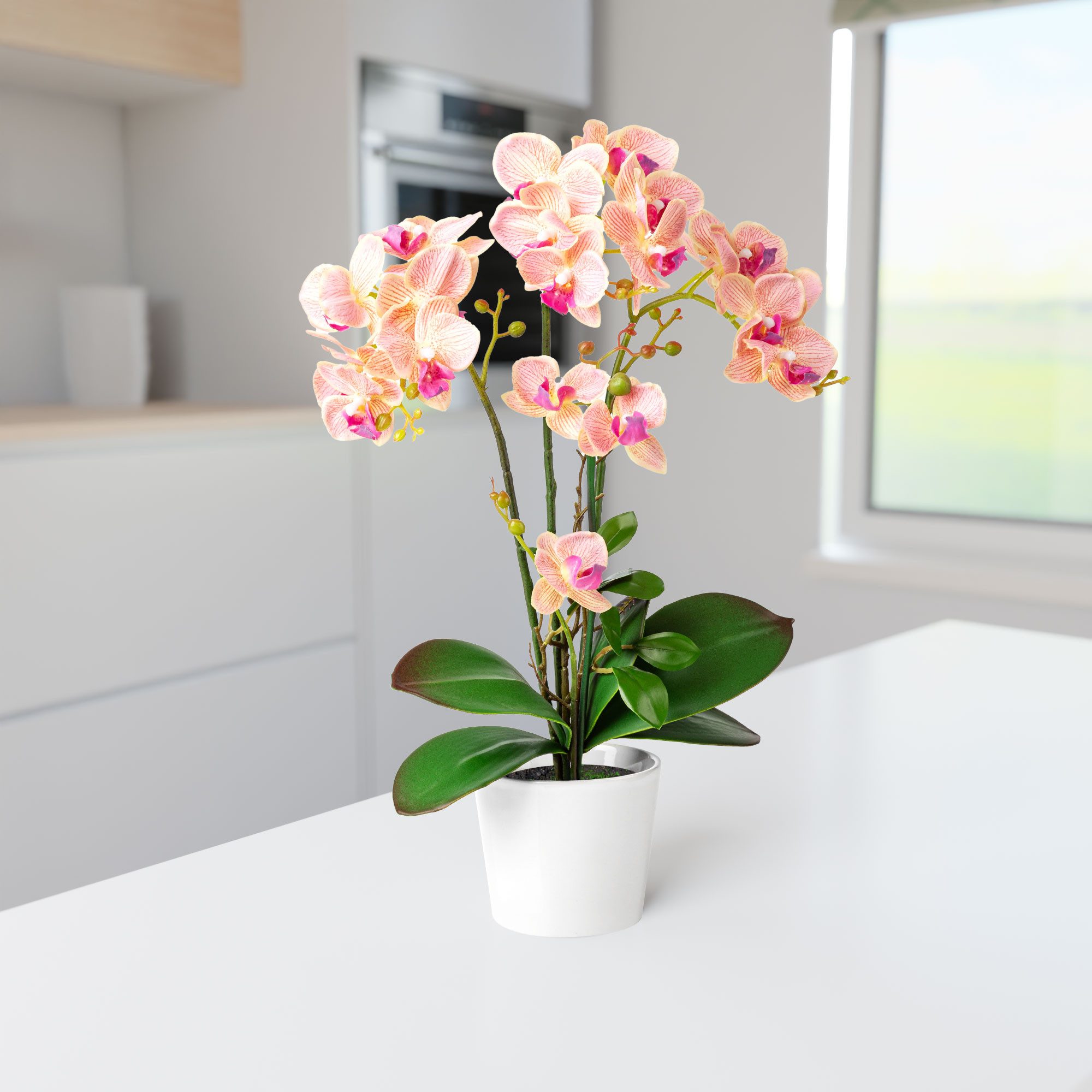 Kunstorchidee PASCH® Orchidee künstlich wie echt (46cm) in Hochglanz-Keramiktopf Orchidee, PASCH, Real Touch
