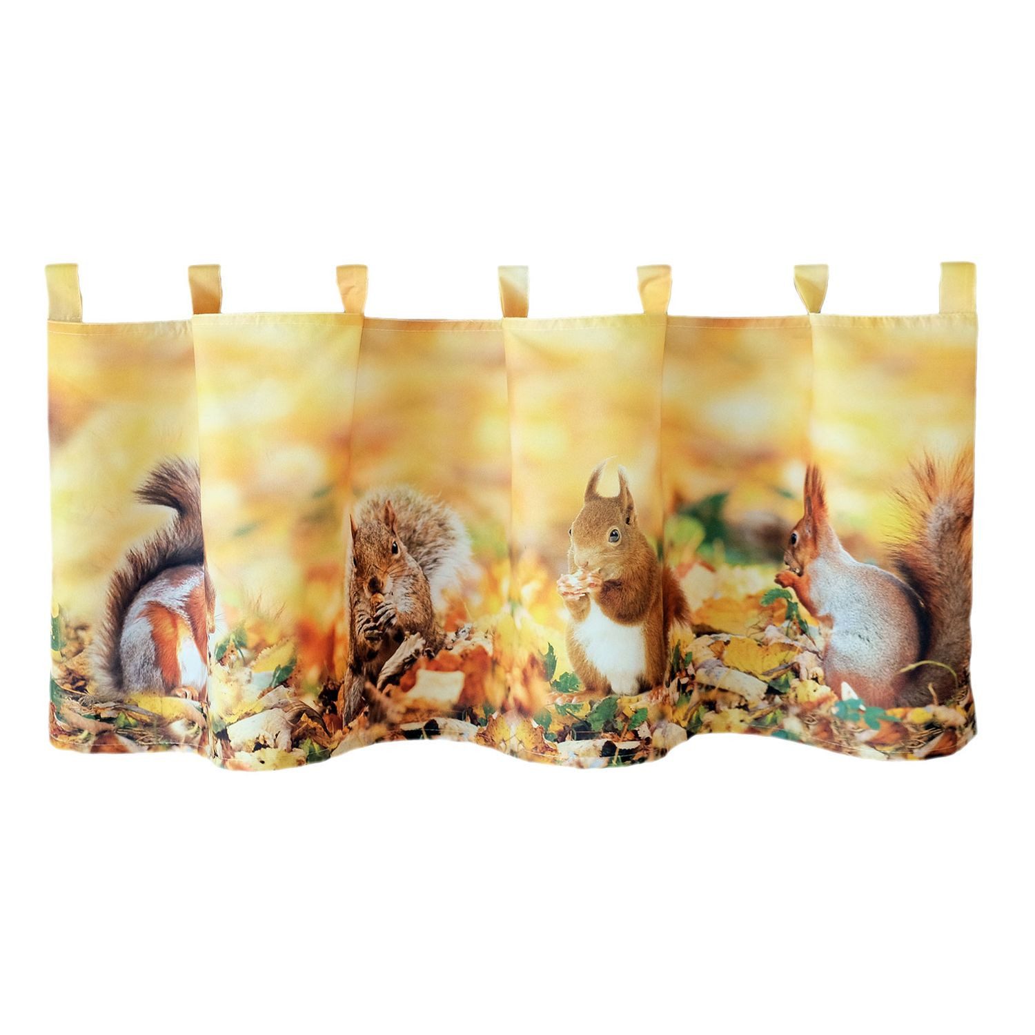 texpot Scheibengardine Bistrogardine 45 x 120 Druck Eichhörnchen Herbst (1 günstig online kaufen