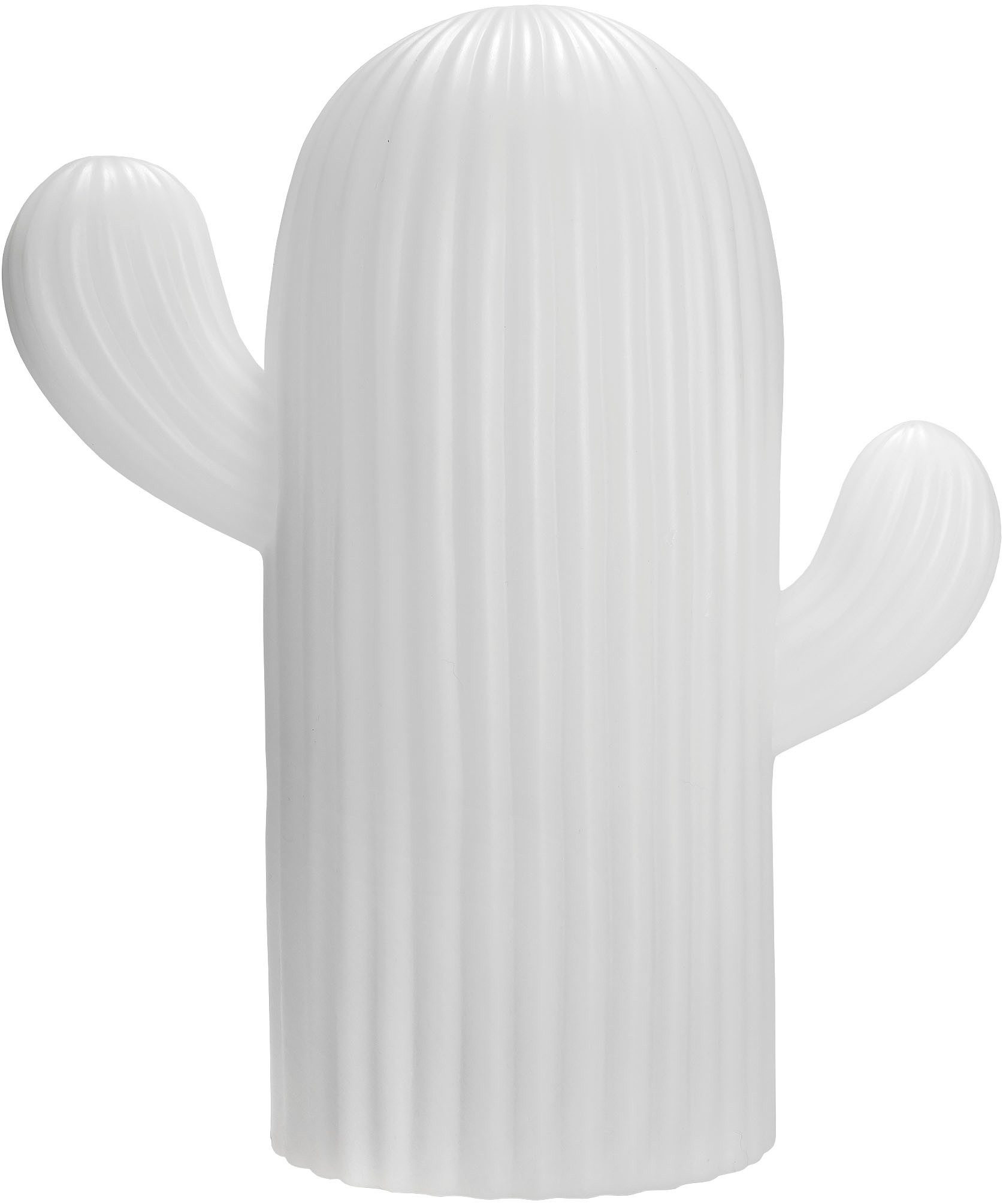 my home LED Solarleuchte Elowyn, LED-Solar Kaktus, RGB, Tageslichtsensor, L günstig online kaufen