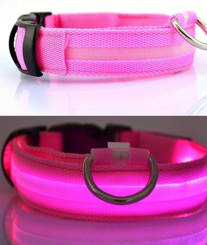 Hundehalsbandleuchte Hundehalsband Leuchthalsband Hund LED USB Aufladbar