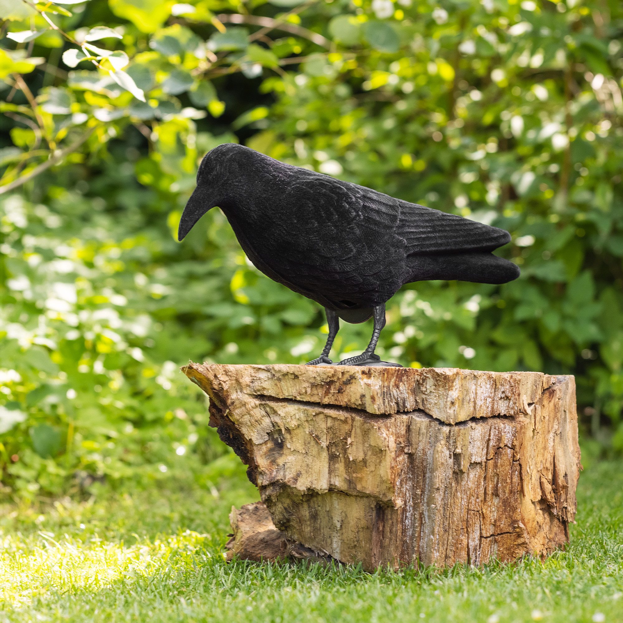 Navaris Dekofigur Vogelschreck Raben Attrappe 38 günstig online kaufen