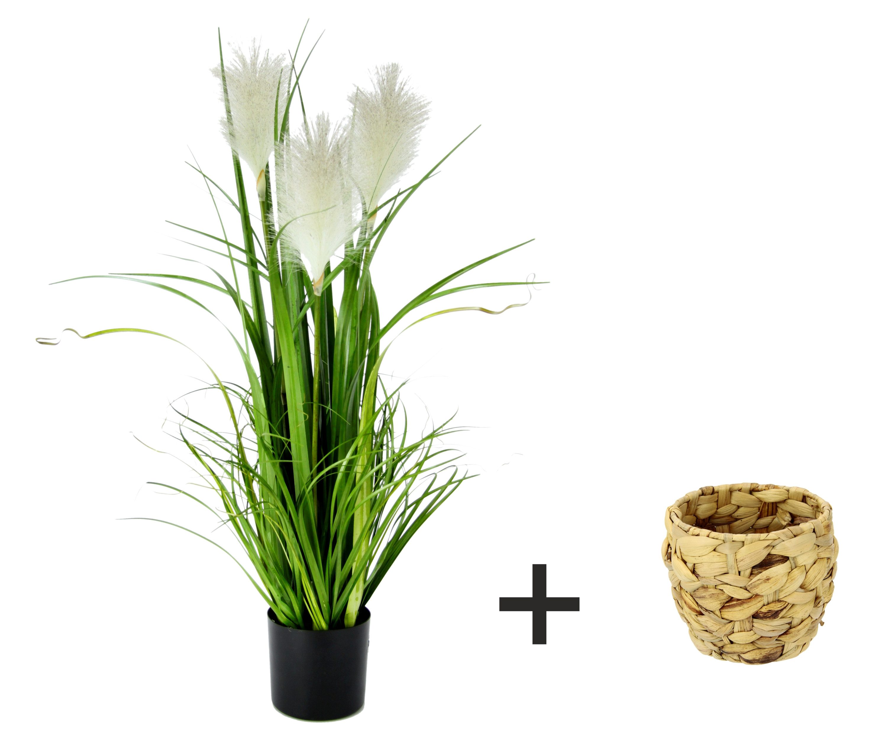 Kunstpflanze Pampasgras, I.GE.A., Höhe 80 cm, Mit Übertopf, künstliches Pampas Gras