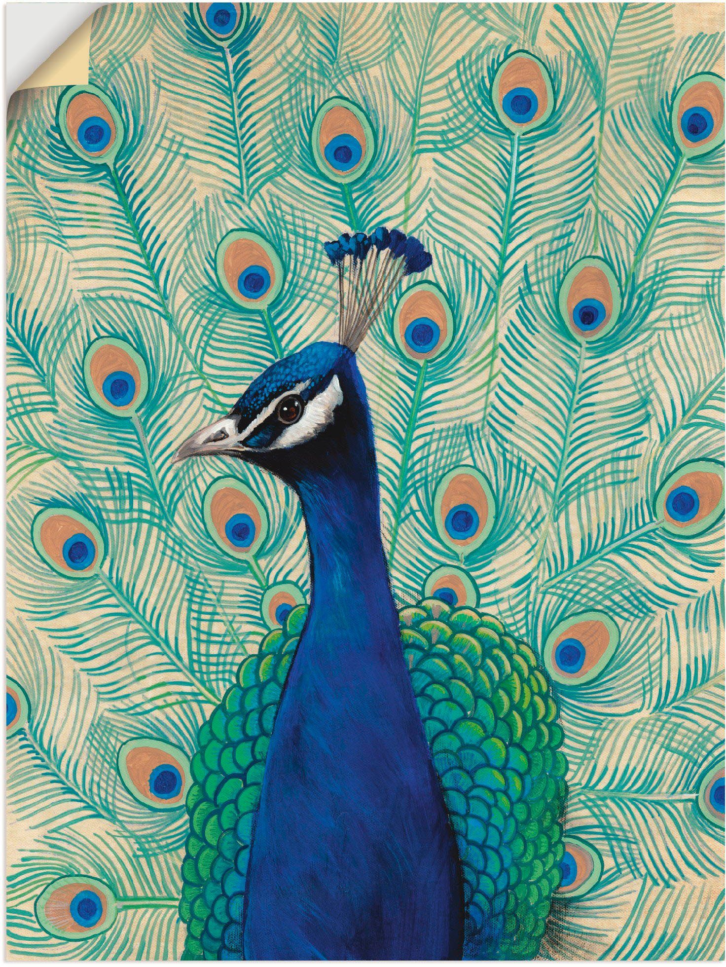 Artland Wandbild Blauer Pfau II, Vögel (1 St), als Alubild, Leinwandbild, Wandaufkleber oder Poster in versch. Größen