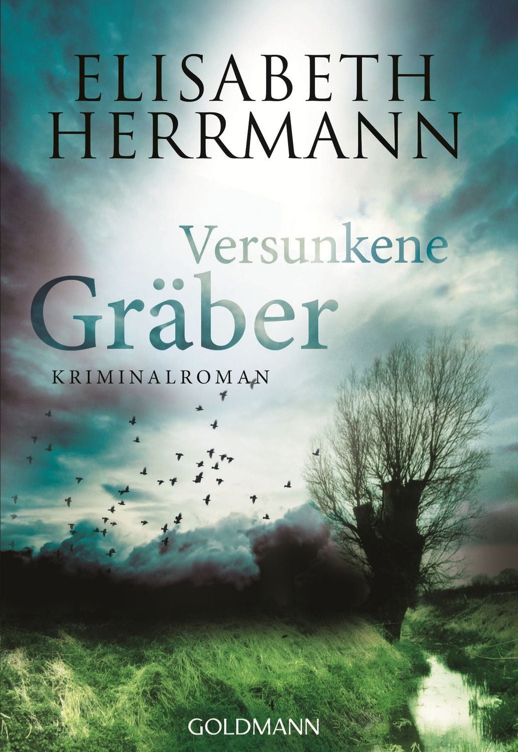 Belletristik Versunkene Gräber / Joachim Vernau Band 4 Kriminalroman Elisabeth Herrmann
