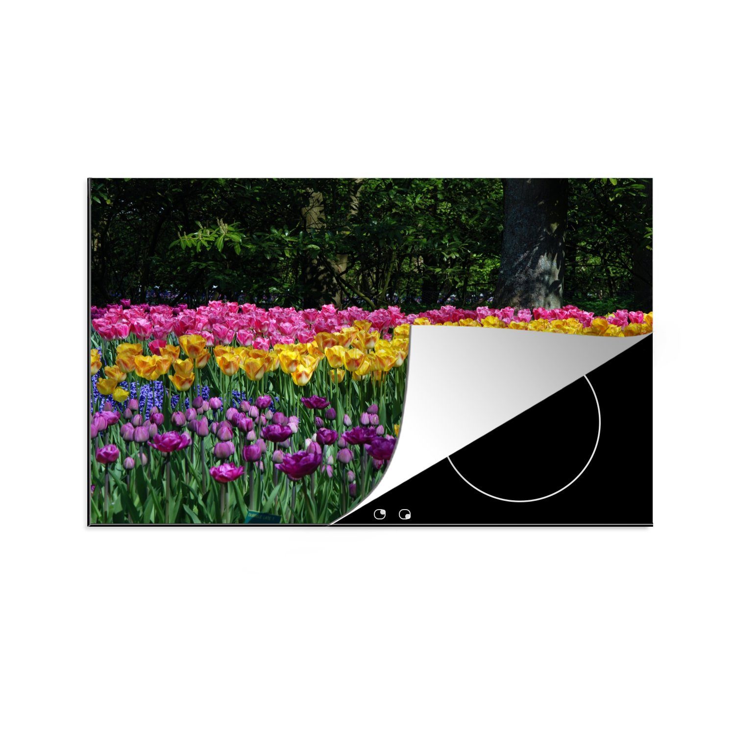 MuchoWow Herdblende-/Abdeckplatte Tulpen auf dem Keukenhof in den Niederlanden, Vinyl, (1 tlg), 81x52 cm, Induktionskochfeld Schutz für die küche, Ceranfeldabdeckung