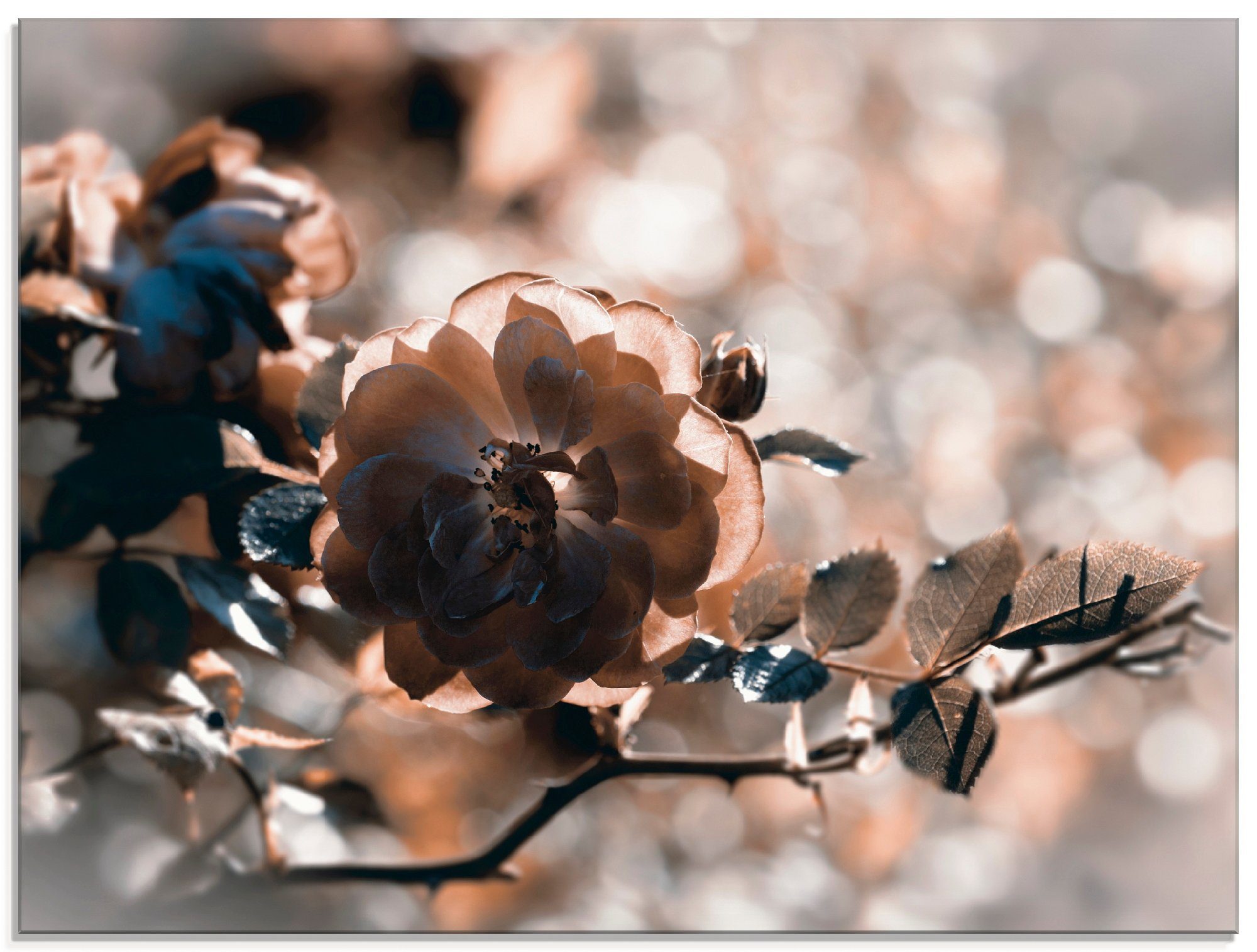 Rose Glasbild in (1 verschiedenen St), Größen Zweig, Artland Blumen