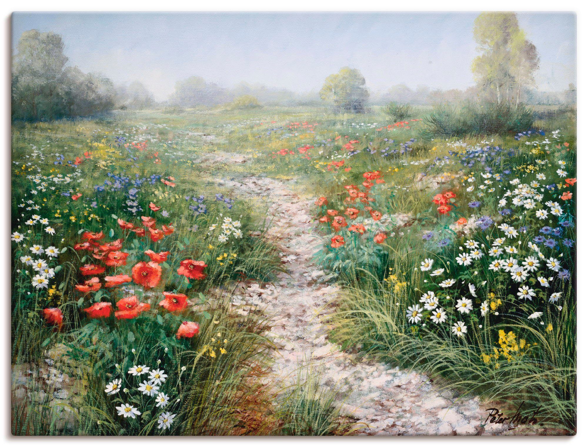 Artland Wandbild Dichte der Natur, Blumenwiese (1 St), als Leinwandbild, Poster in verschied. Größen