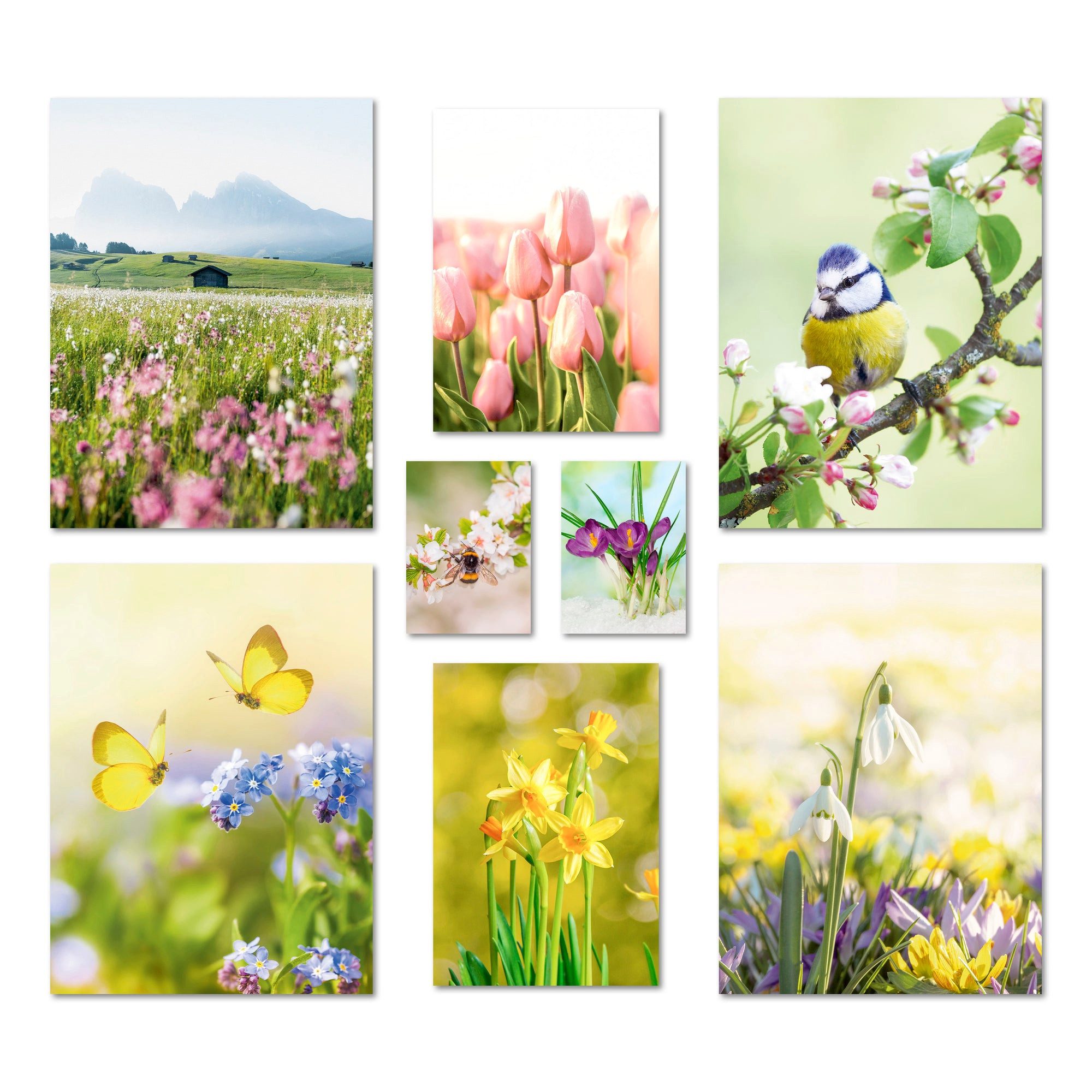ARTFAVES Bilder-Collage Poster Set - Frühlingserwachen - Deko Wandbilder frühling, tiere, natu, (Wandbilder modern, 8 St)