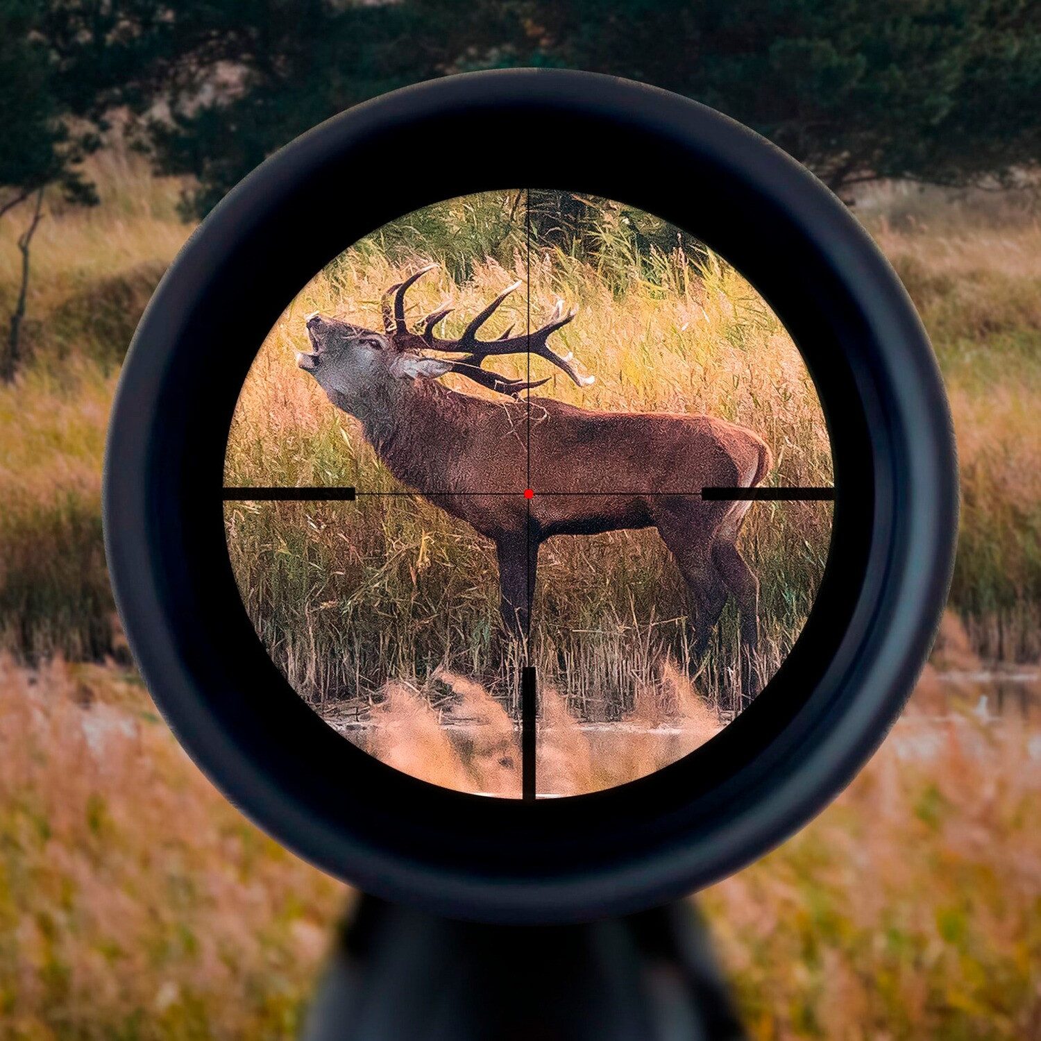 Minox Zielfernrohr RS-6 2,2–14x50 Zielfernrohr