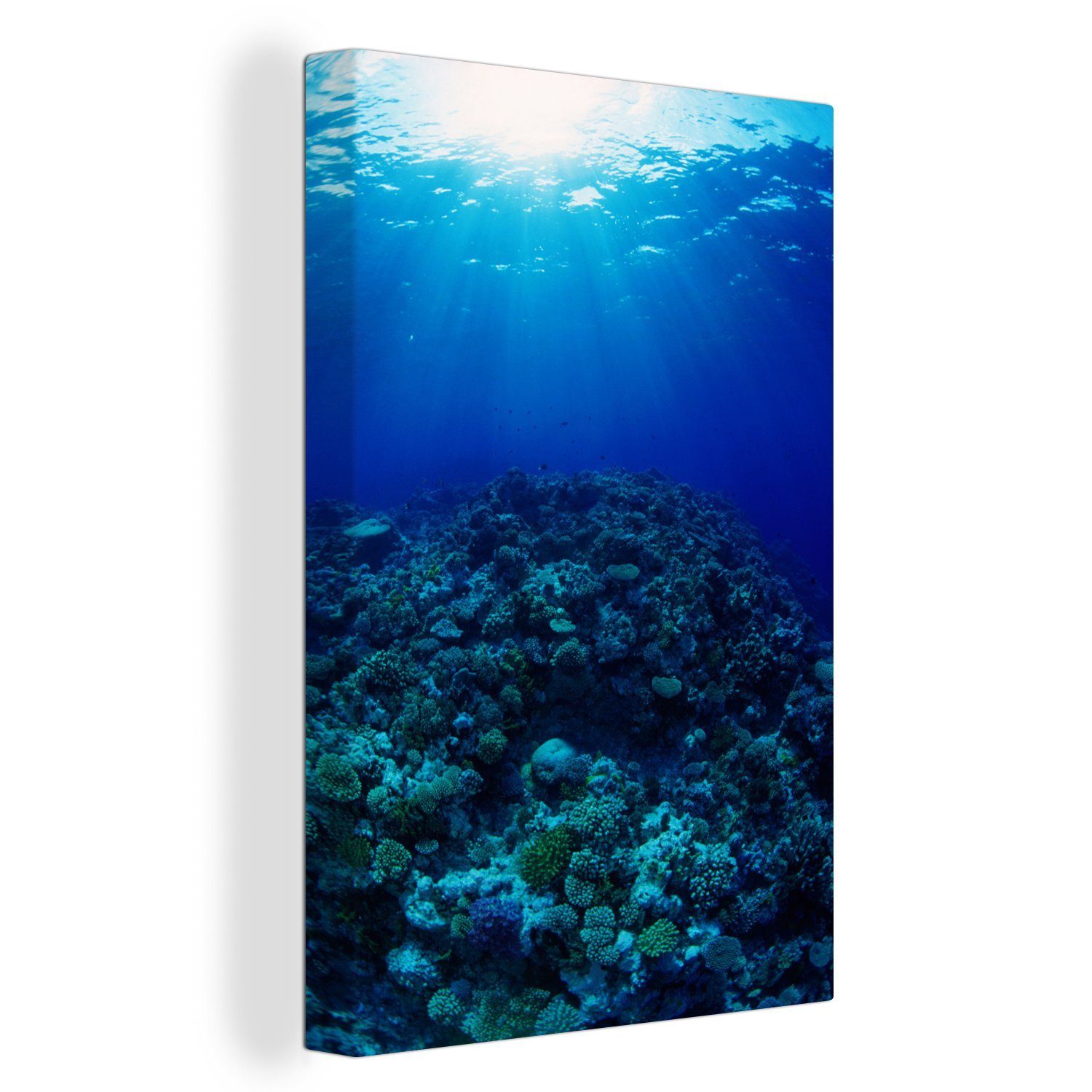 OneMillionCanvasses® Leinwandbild Great Barrier Reef mit Unterwasser-Lichtstrahlern, (1 St), Leinwandbild fertig bespannt inkl. Zackenaufhänger, Gemälde, 20x30 cm