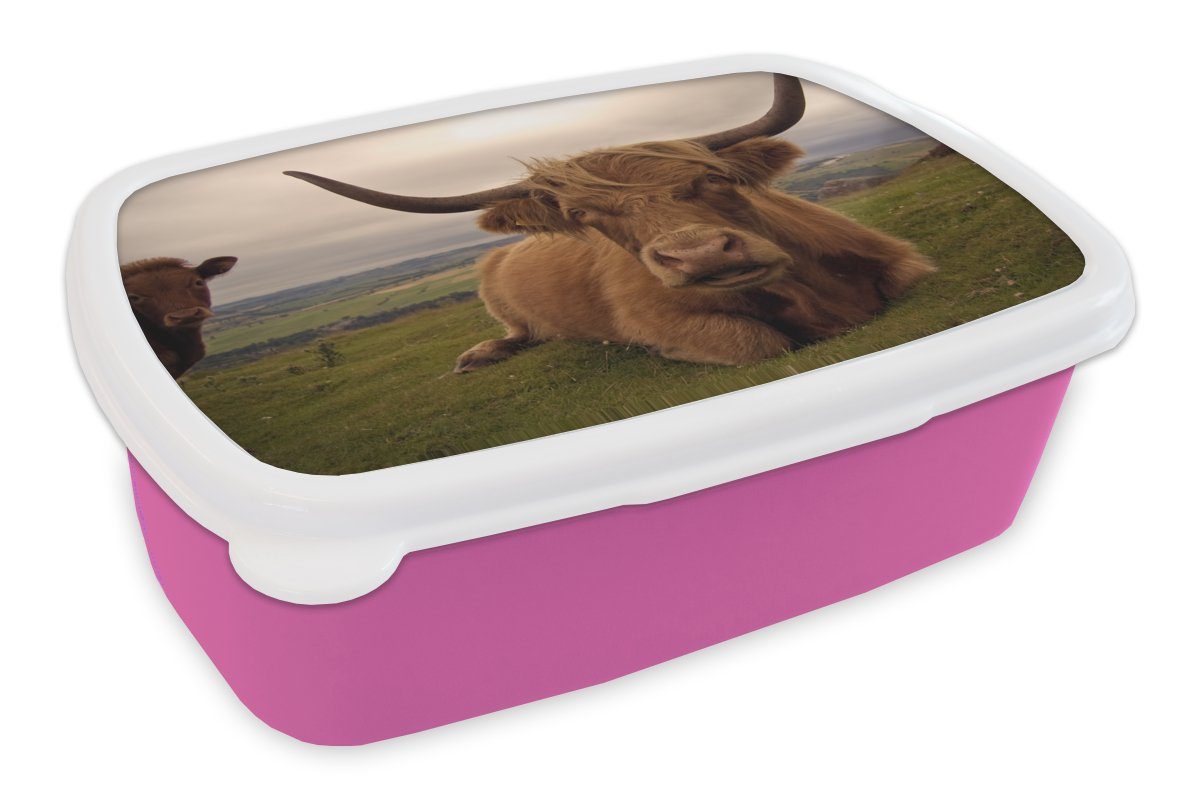 rosa Lunchbox für MuchoWow Snackbox, - Brotdose Highlander Kinder, Berg, Mädchen, Schottischer Brotbox Erwachsene, (2-tlg), Kunststoff Kunststoff, Tiere -