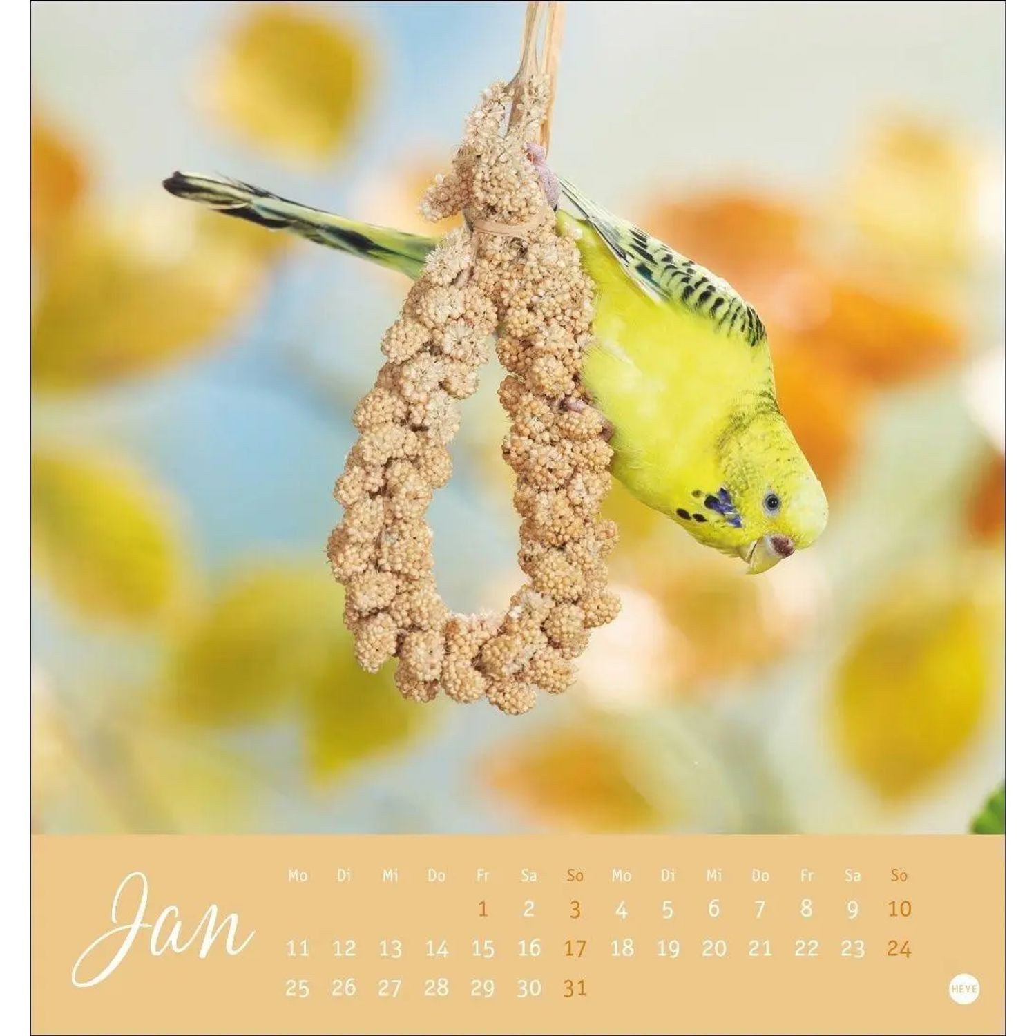 HEYE Wandkalender Freche Wellensittiche Postkartenkalender 2027