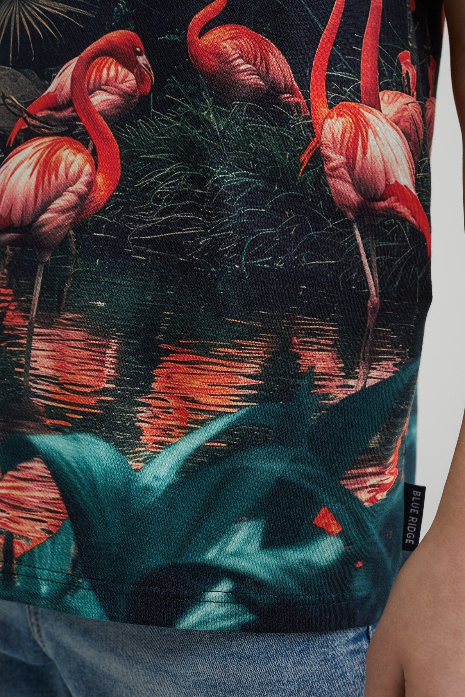 WE Fashion T-Shirt günstig online kaufen