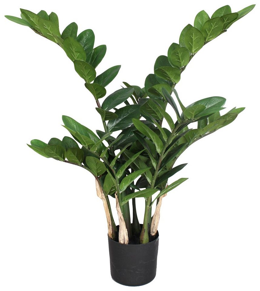 Zamifolia, green, Kunstpflanze 70 Creativ cm Höhe