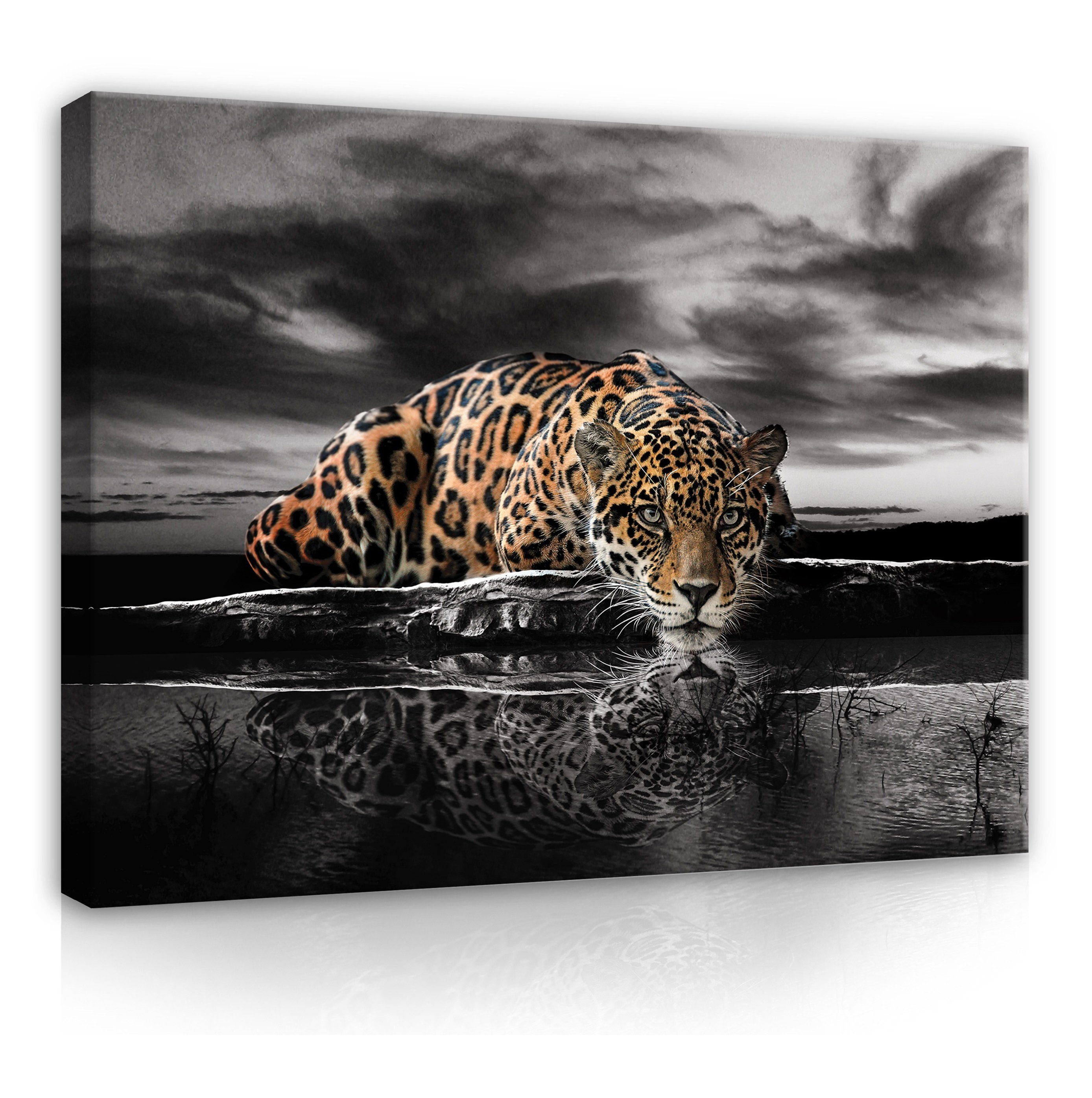 Wallarena Leinwandbild Tiere Lampard Tiger Afrika Wandbild XXL  Leinwandbilder Modern, Jaguar (Einteilig), Aufhängefertig | Kunstdrucke