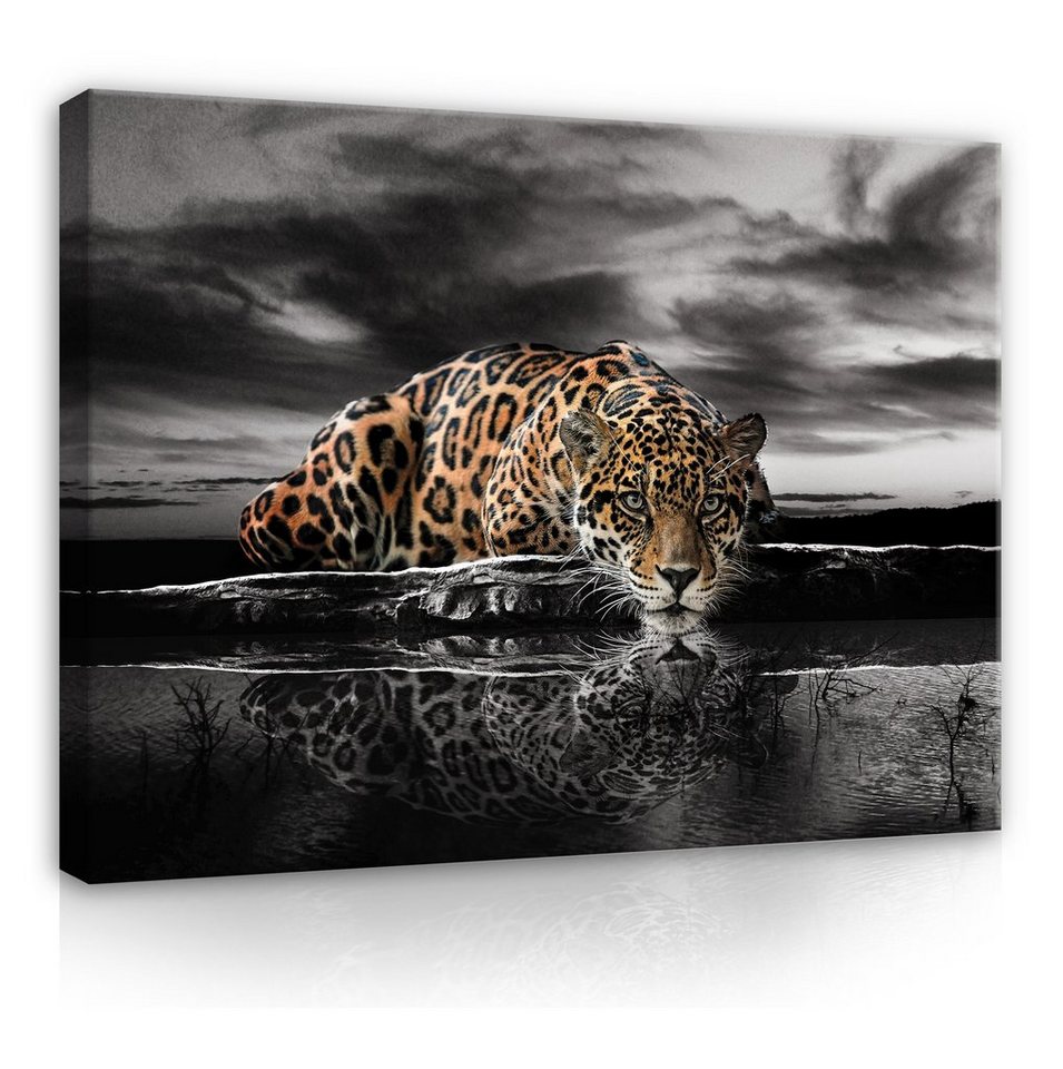 Wallarena Leinwandbild Tiere Lampard Tiger Afrika Wandbild XXL  Leinwandbilder Modern, Jaguar (Einteilig), Aufhängefertig