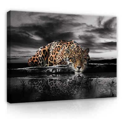 Wallarena Leinwandbild Tiere Lampard Tiger Afrika Wandbild XXL Leinwandbilder Modern, Jaguar (Einteilig), Aufhängefertig