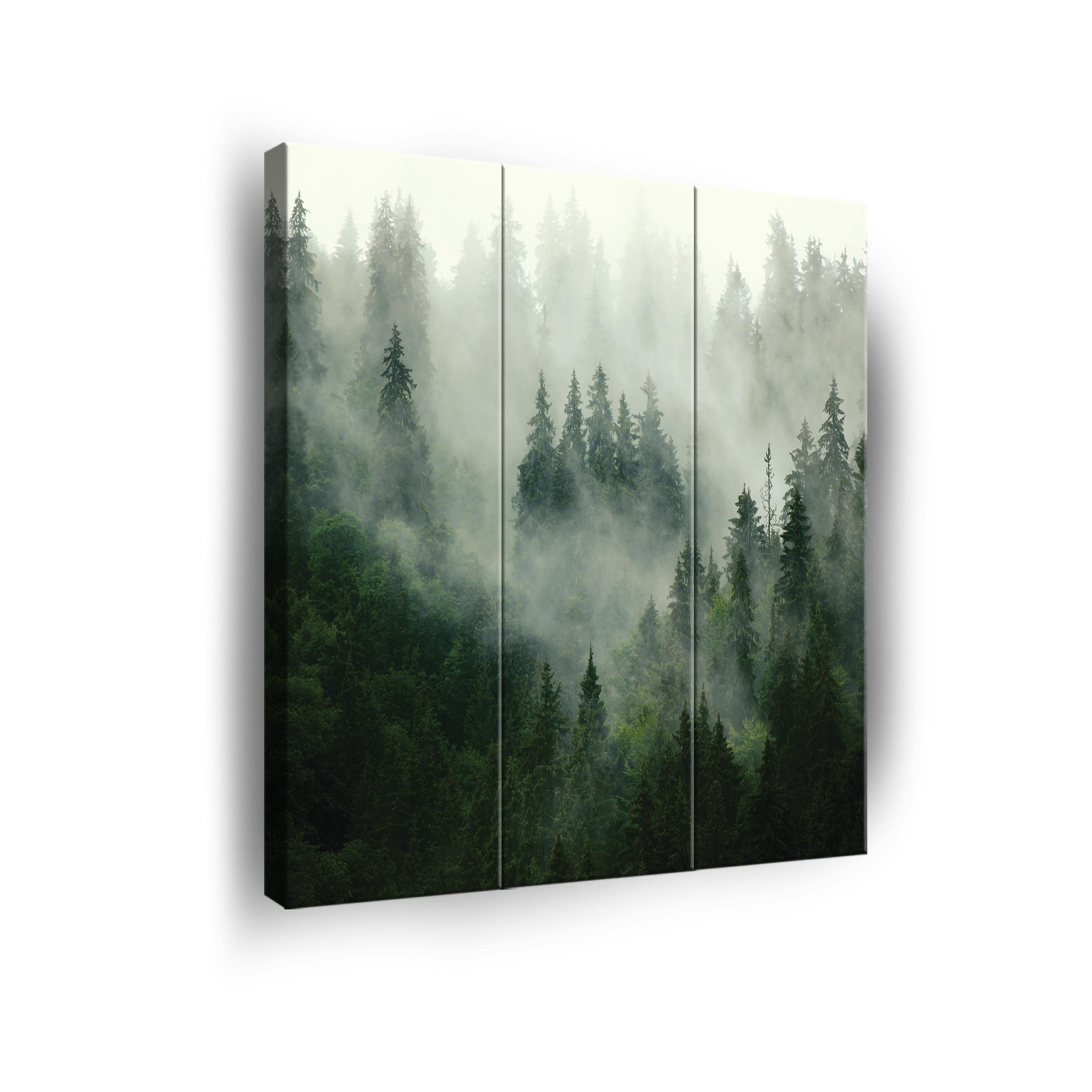 Wallarena Leinwandbild Wald im Nebel Wandbild günstig online kaufen