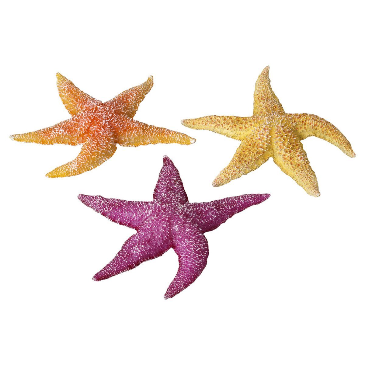 Aquariendeko Aquarium Dekoration Real Sea Star