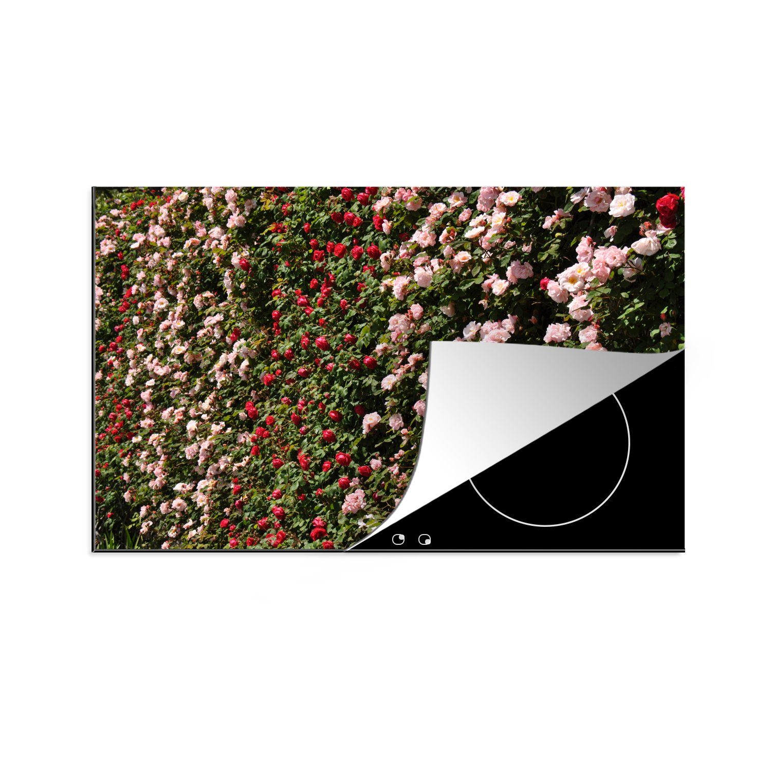 MuchoWow Herdblende-/Abdeckplatte Kletterrose - Rosa - Rot, Vinyl, (1 tlg), 81x52 cm, Induktionskochfeld Schutz für die küche, Ceranfeldabdeckung
