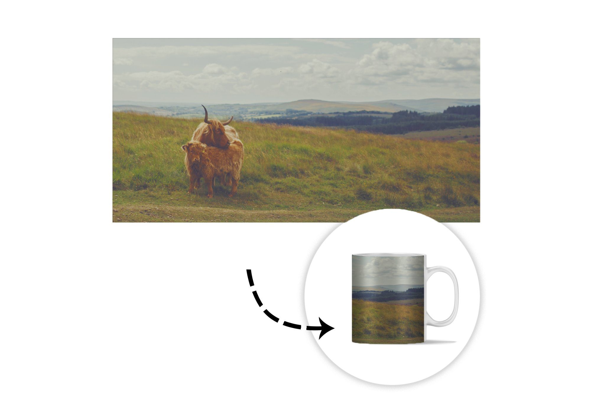 MuchoWow Tasse Schottische Kaffeetassen, Wolken Highlander Geschenk - Becher, Tiere, Gras Keramik, - - Teetasse, Teetasse
