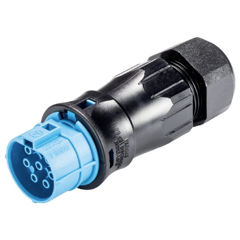 Wieland Electric Wieland Electric 96.071.4853.9 Steckverbinder Installationskabel