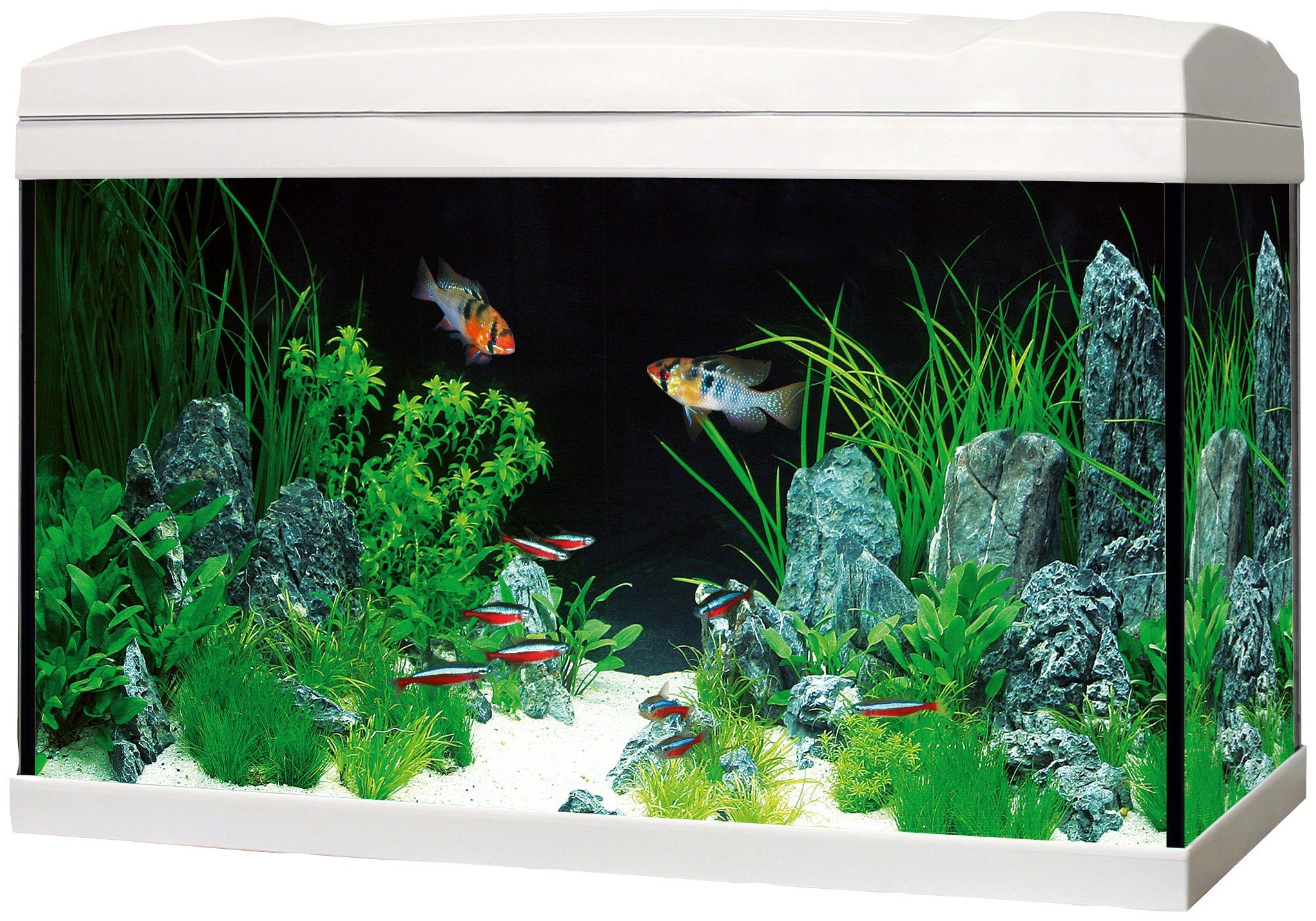 Marina AquarienSet 54 LED«, BxTxH 60x30x30 cm, 54 Liter