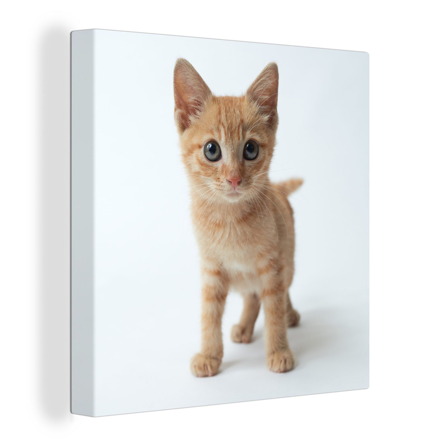 OneMillionCanvasses® Leinwandbild Katze - Rot - Kätzchen - Mädchen - Kinder - Jungen - Kind, (1 St), Leinwand Bilder für Wohnzimmer Schlafzimmer bunt