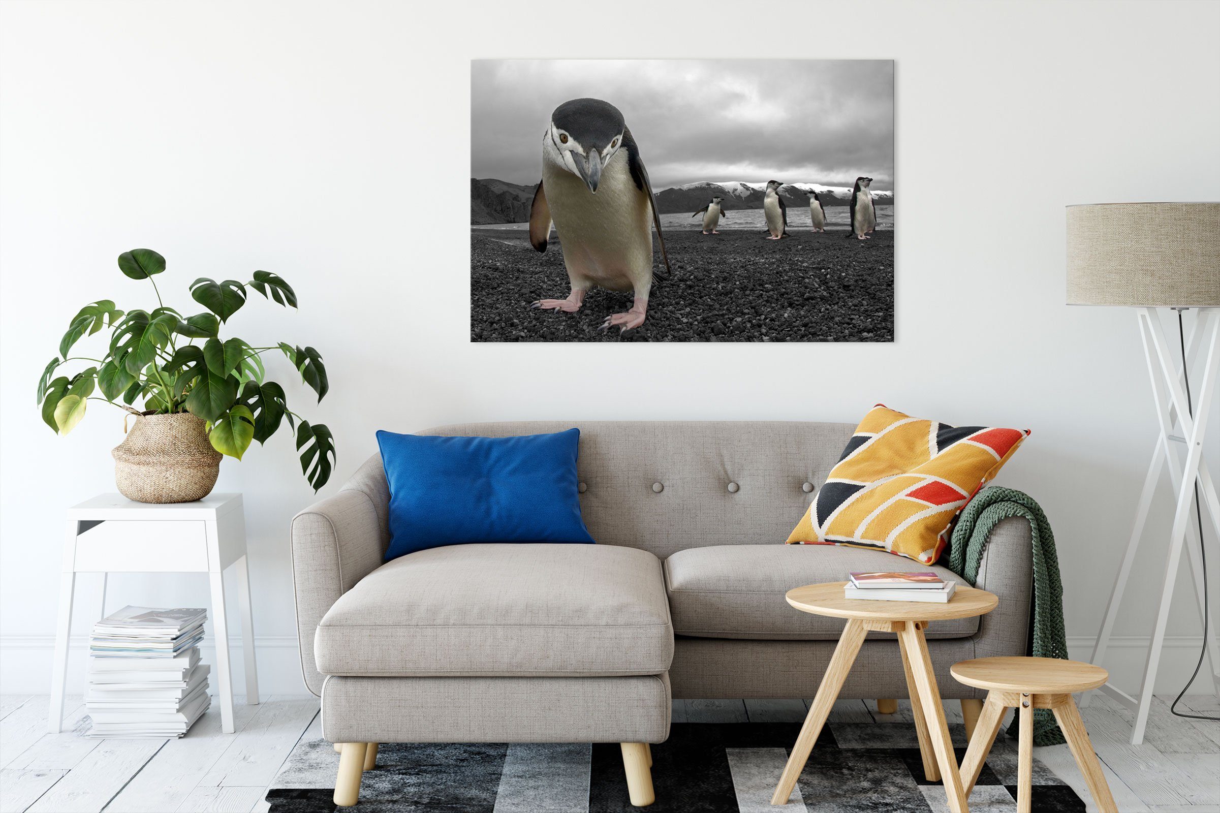 Pinguine inkl. Pinguine, Zackenaufhänger St), (1 Leinwandbild Leinwandbild bespannt, Pixxprint Lustige Lustige fertig
