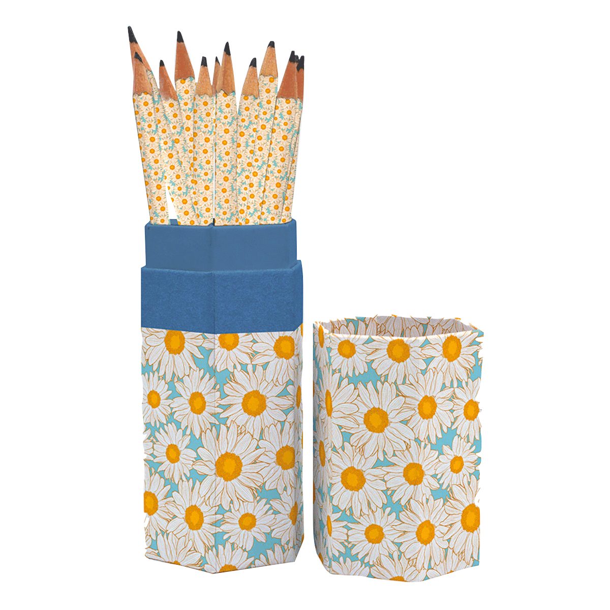 Bleistift Bleistift-Set Hazy Daisies.