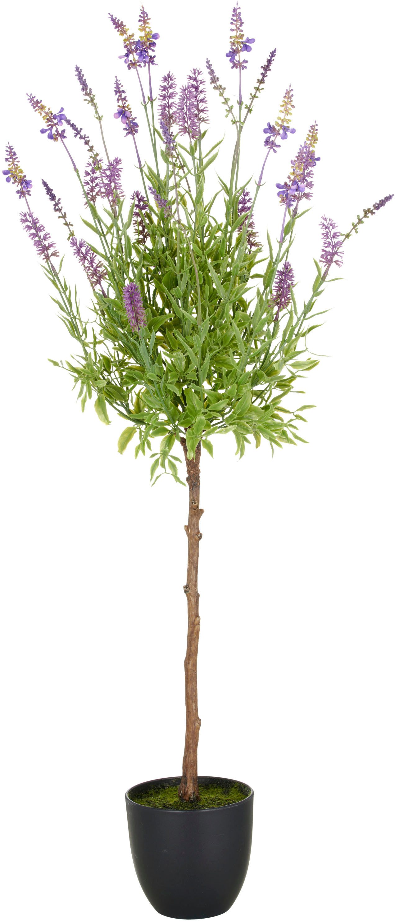 Kunstpflanze Lavendel, Creativ green, Höhe 95 günstig online kaufen