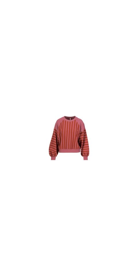 Blutsgeschwister Sweatshirt - Wärmendes Sweatshirt mit Rundhals und Bündchen für Damen - Jacky Rwi
