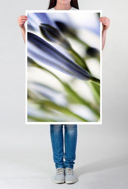 Sinus Art Poster Naturfotografie 60x90cm Poster Blaue Blume im Detail