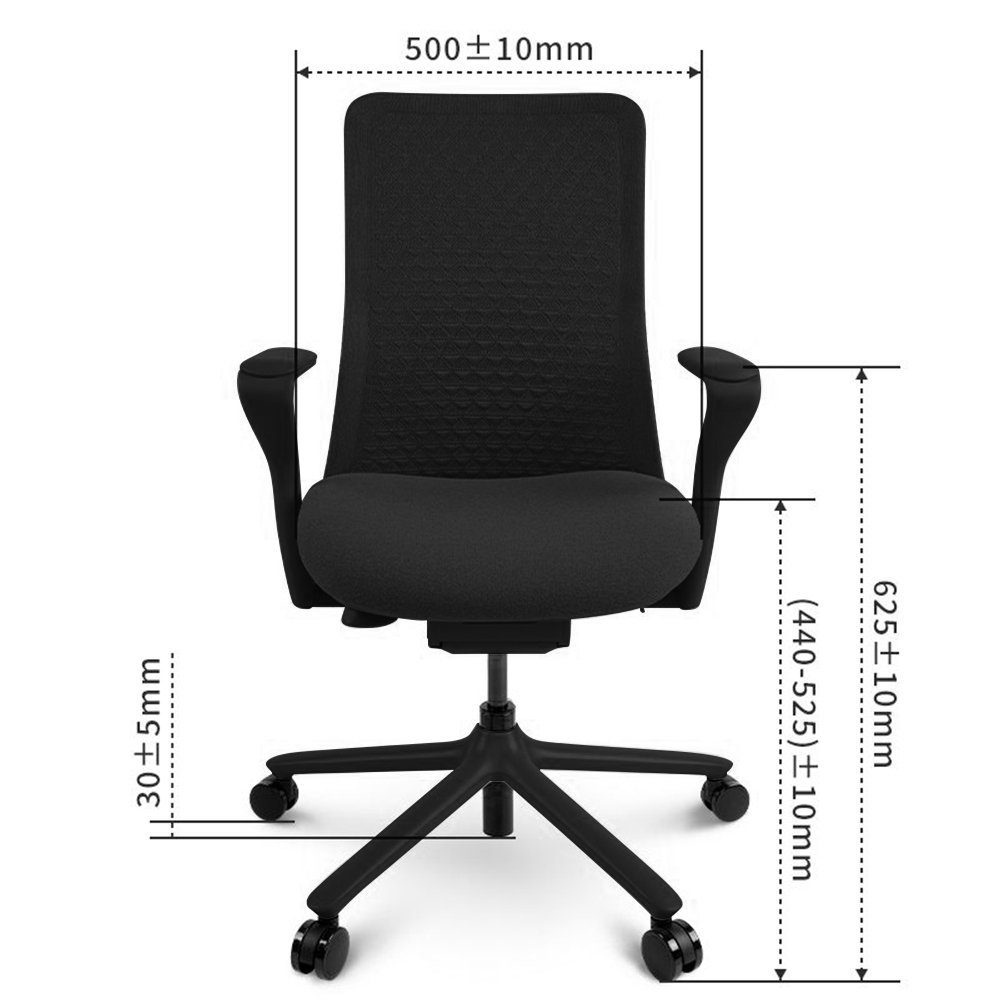 Stuhl BS13 schwarz Armlehne), (BackSupport FLEXISPOT Schreibtischstuhl, Computerstuhl Chefsessel mit Bürostuhl BS13, Bürostuhl bequemer