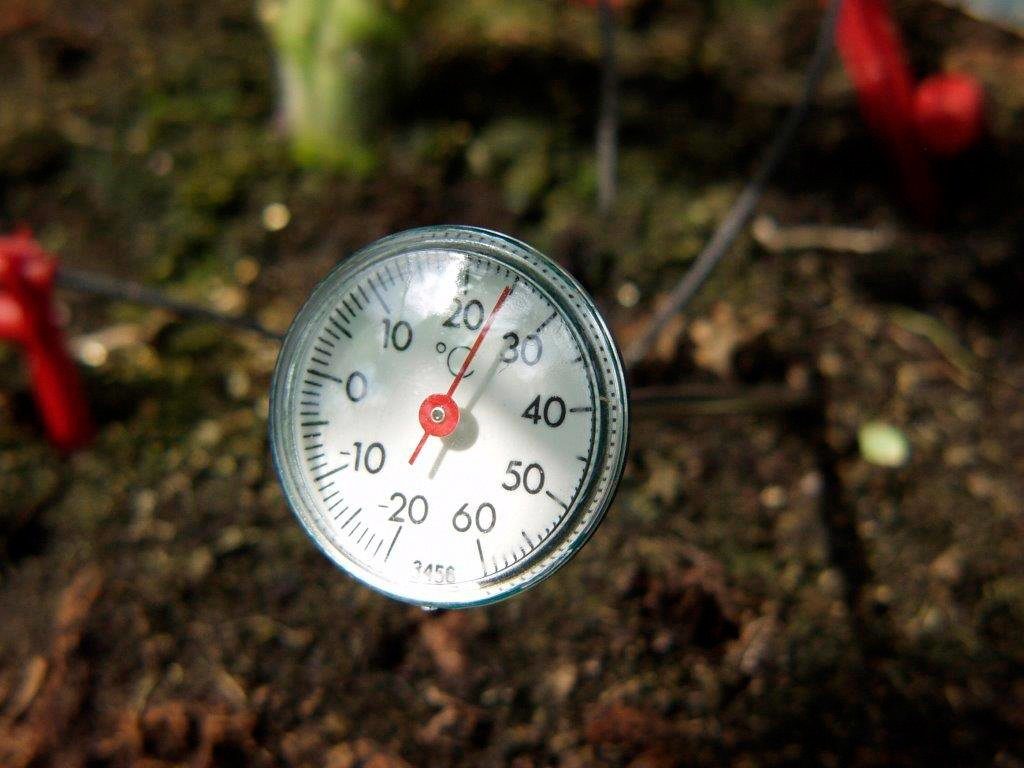 Vitavia Bodenthermometer, zur Kontrolle der Bodentemperatur online kaufen |  OTTO