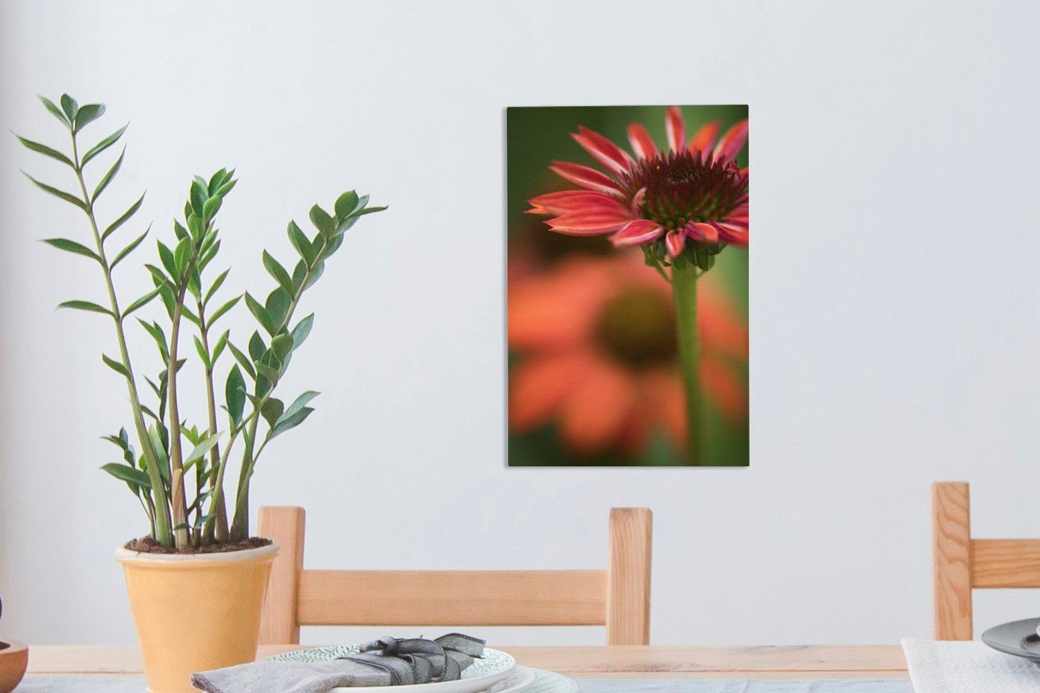 OneMillionCanvasses® Leinwandbild Rote Echinacea-Blüte 20x30 Gemälde, Leinwandbild beim fertig Aufblühen, St), Zackenaufhänger, inkl. (1 bespannt cm