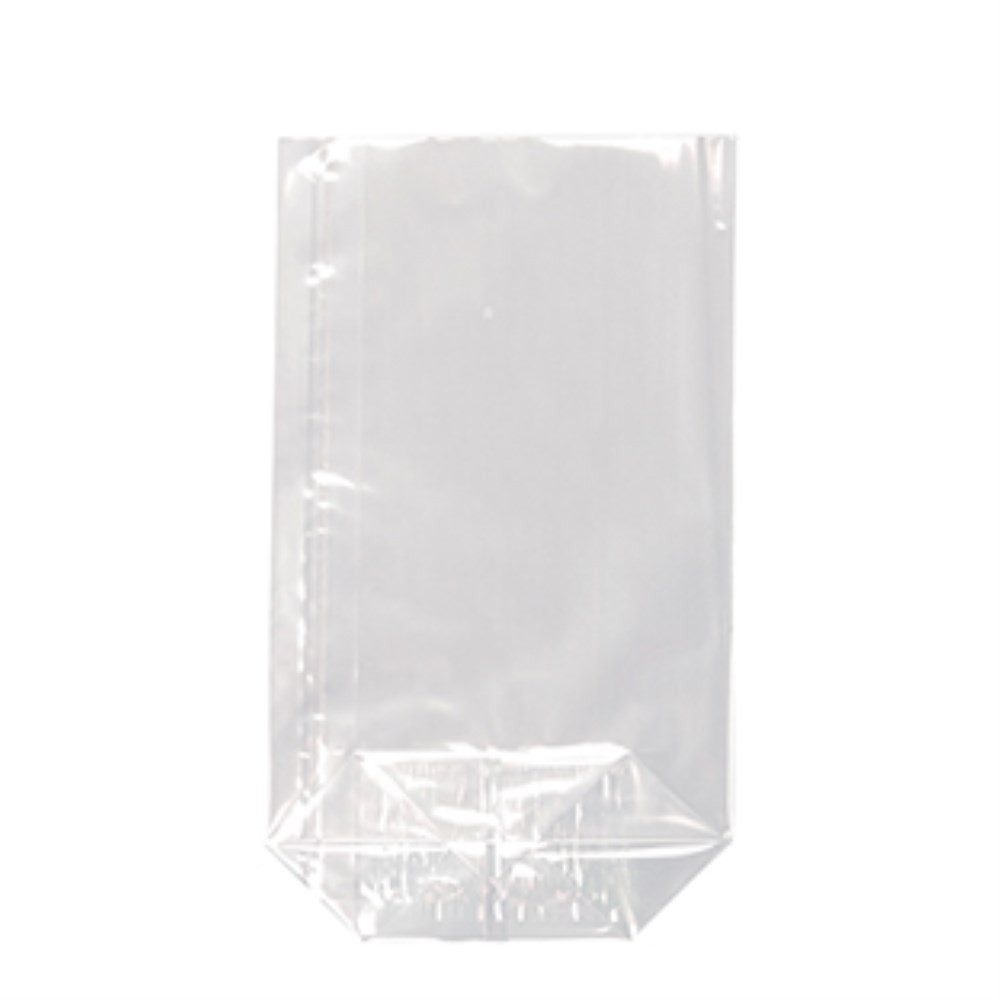 Starpak Frischhaltebeutel 10 Bodenbeutel, PP 23,5 cm x 14,5 cm x 5,8 cm transparent