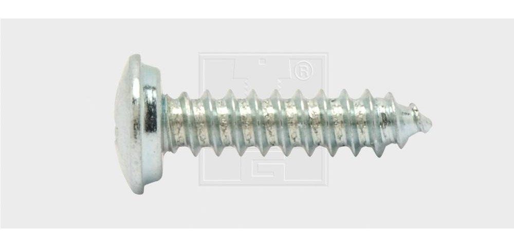 SWG Gewindeschraube SWG Nummernschildschraube 4.8 x 19 mm mit