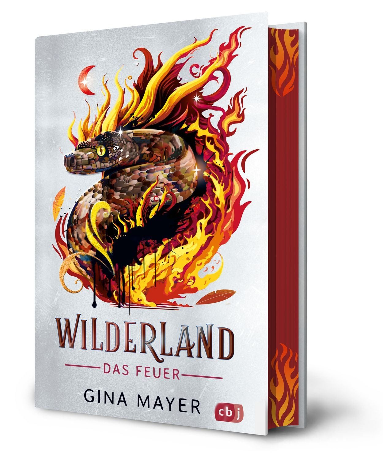 Wilderland – Das Feuer / Gina Mayer