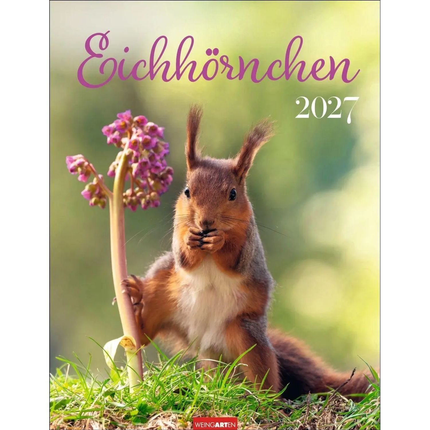 Wandkalender Eichhörnchen Kalender 2027