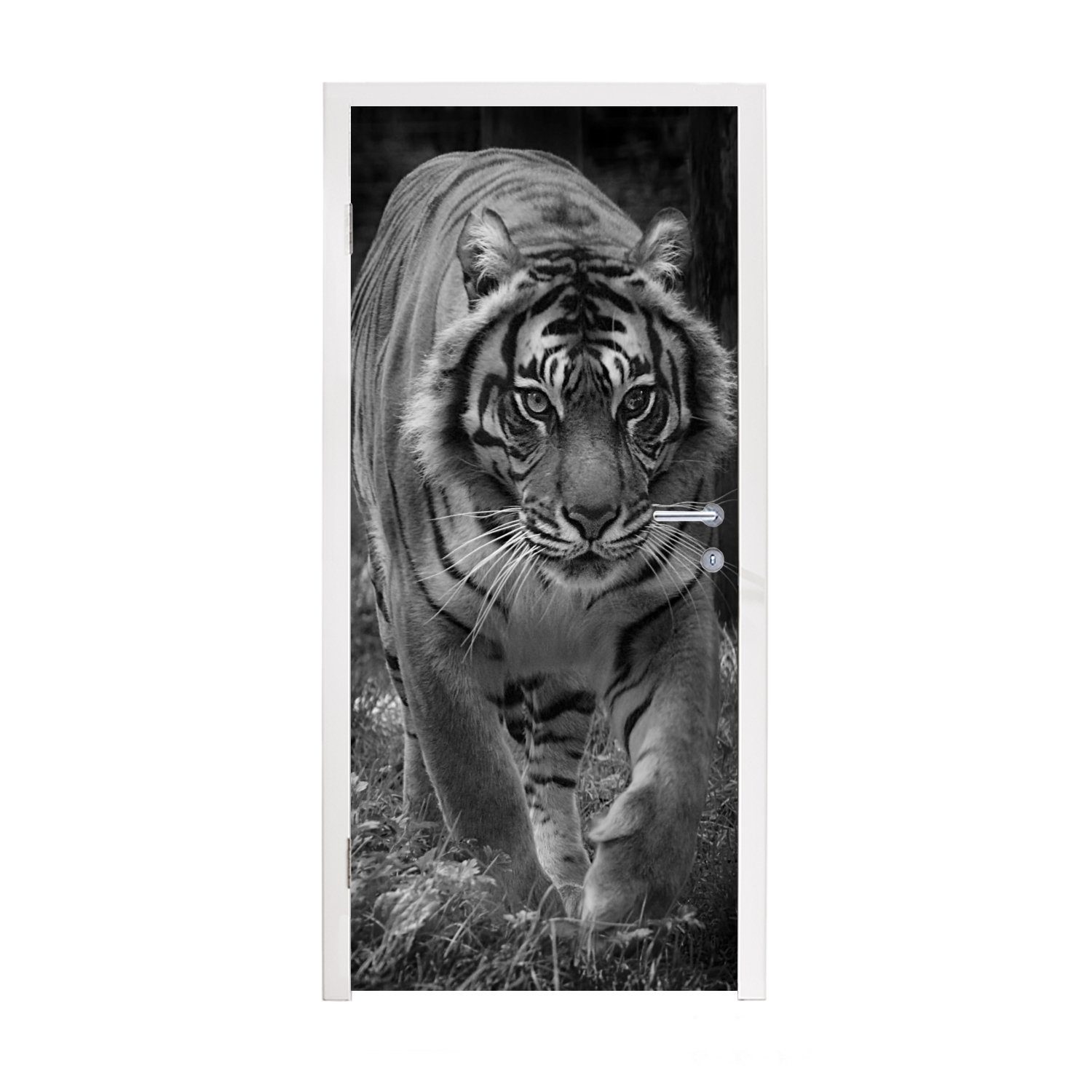 MuchoWow Türtapete Tiger - Gras - Wilde Tiere, Matt, bedruckt, (1 St), Fototapete für Tür, Türaufkleber, 75x205 cm