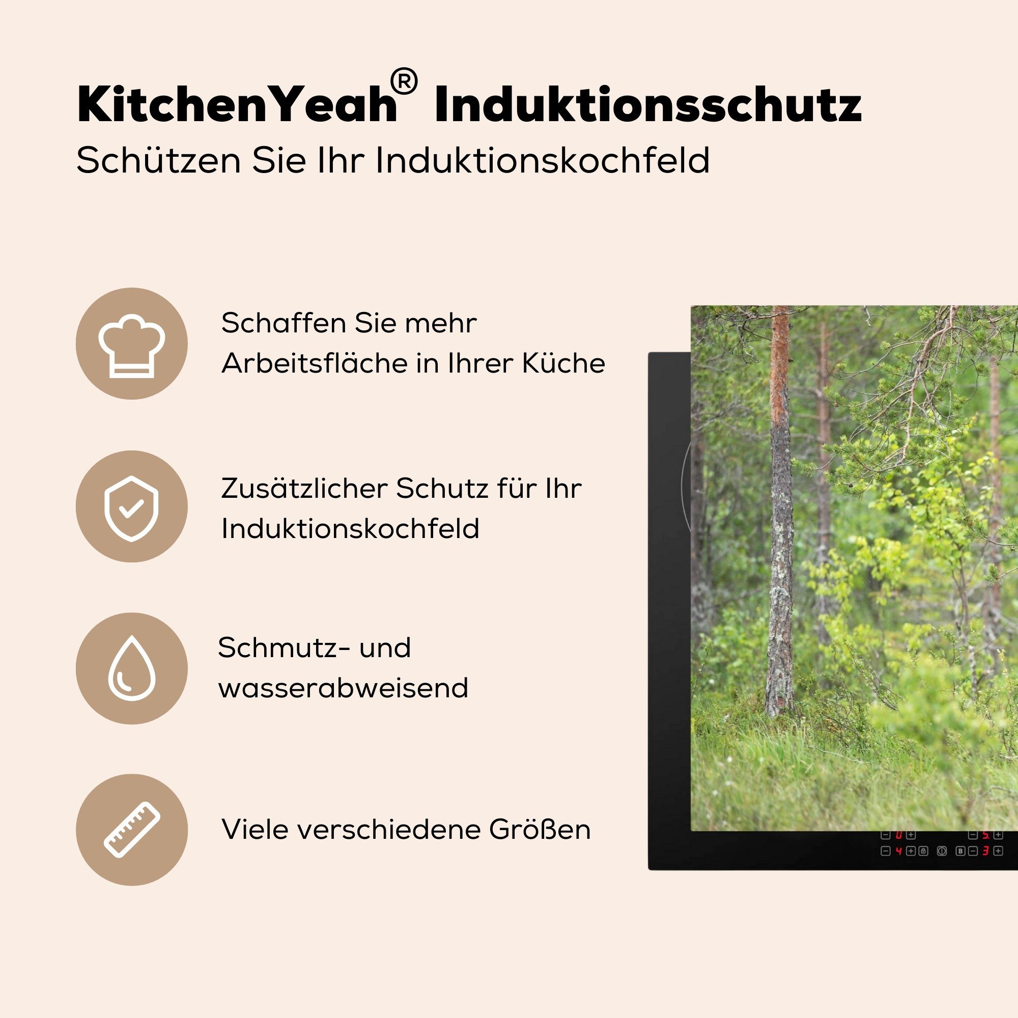 cm, Wald, Bär Baum Vinyl, Induktionskochfeld Schutz für 81x52 - tlg), Herdblende-/Abdeckplatte die küche, MuchoWow - (1 Ceranfeldabdeckung