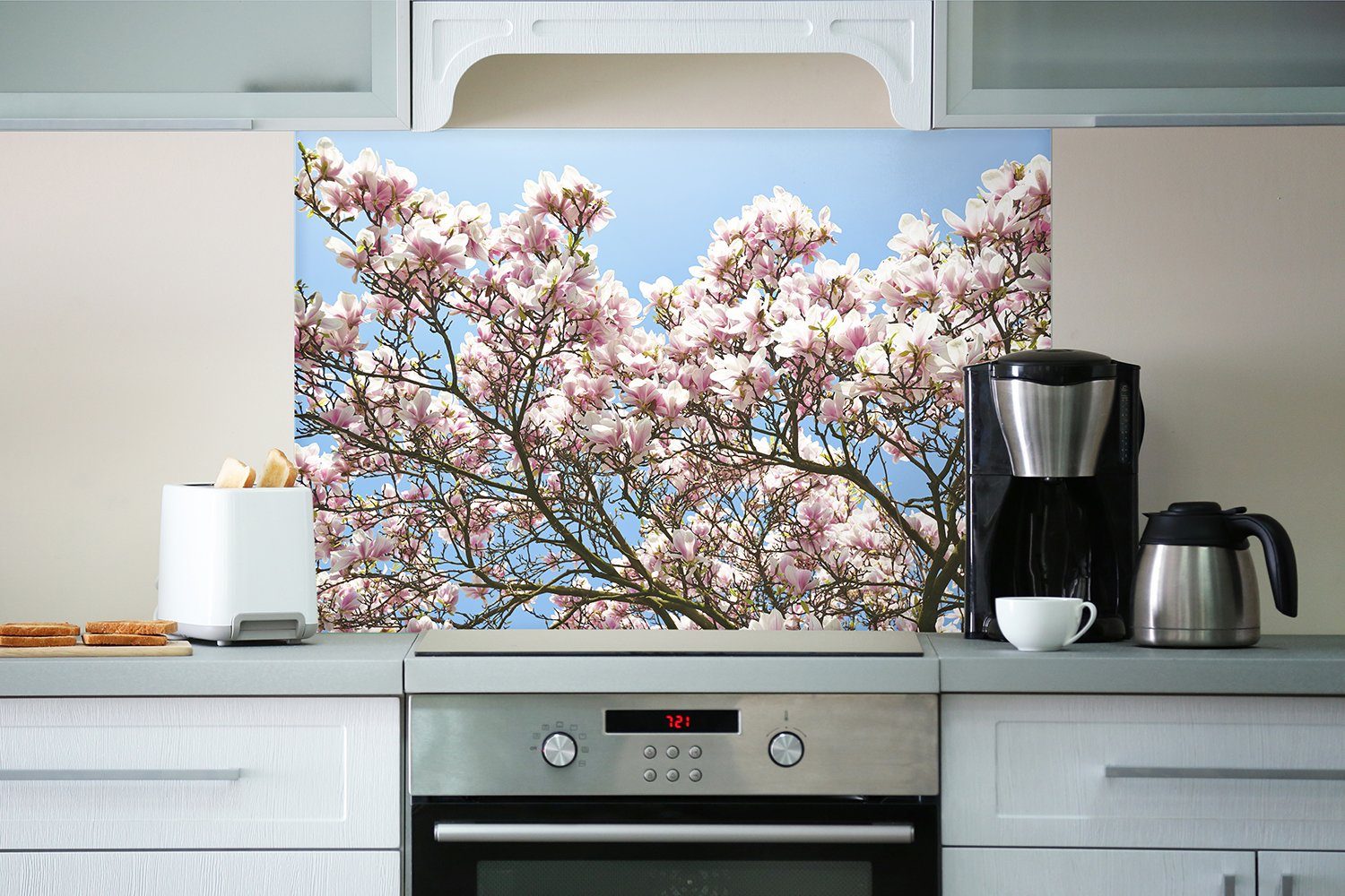 (1-tlg) blauem Magnolien-Blüten Schöne vor Wallario rosa Himmel, Küchenrückwand