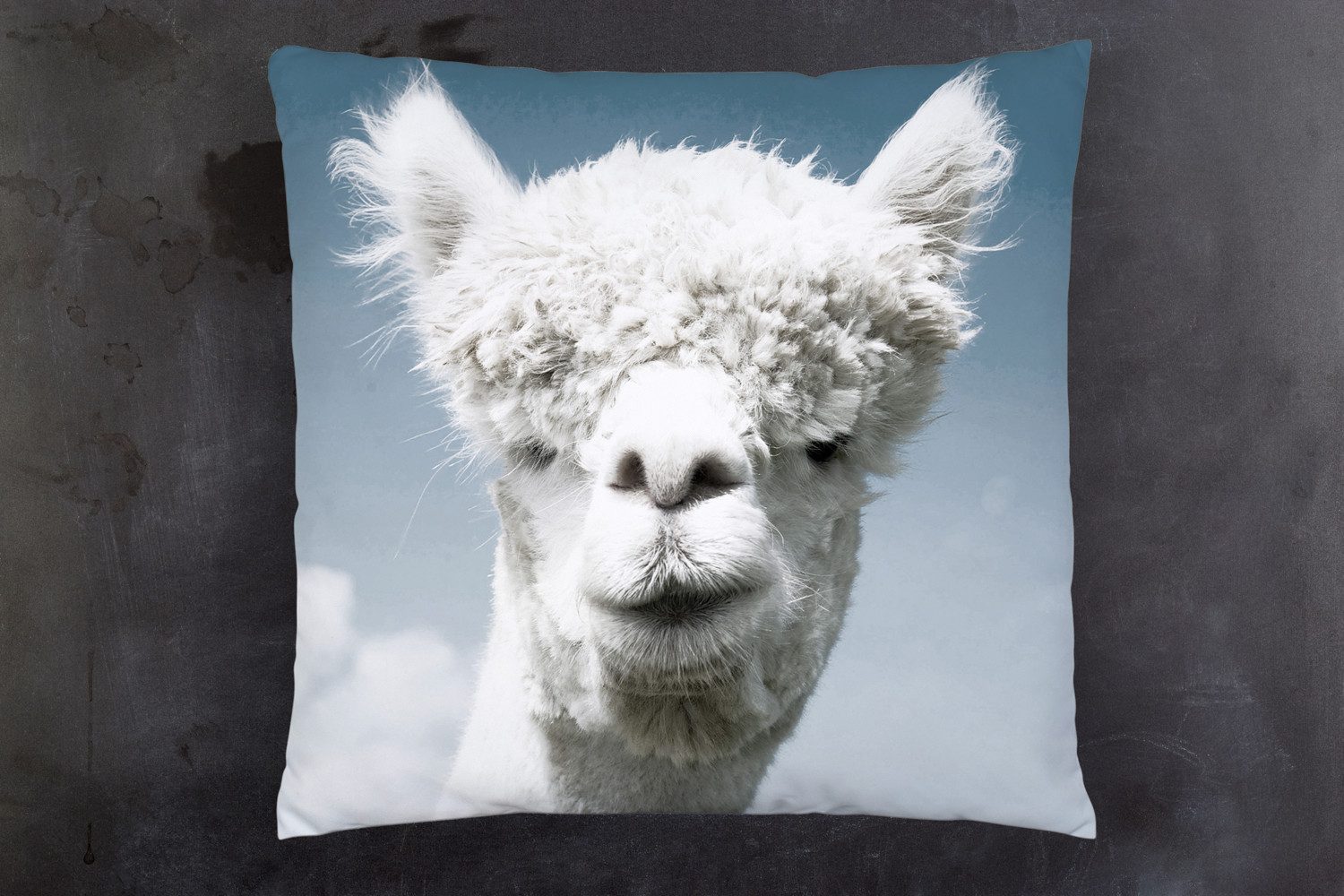 queence Dekokissen Alpaka, Kissenhülle mit HD Premium Druck, geruchsneutral, 40x40cm
