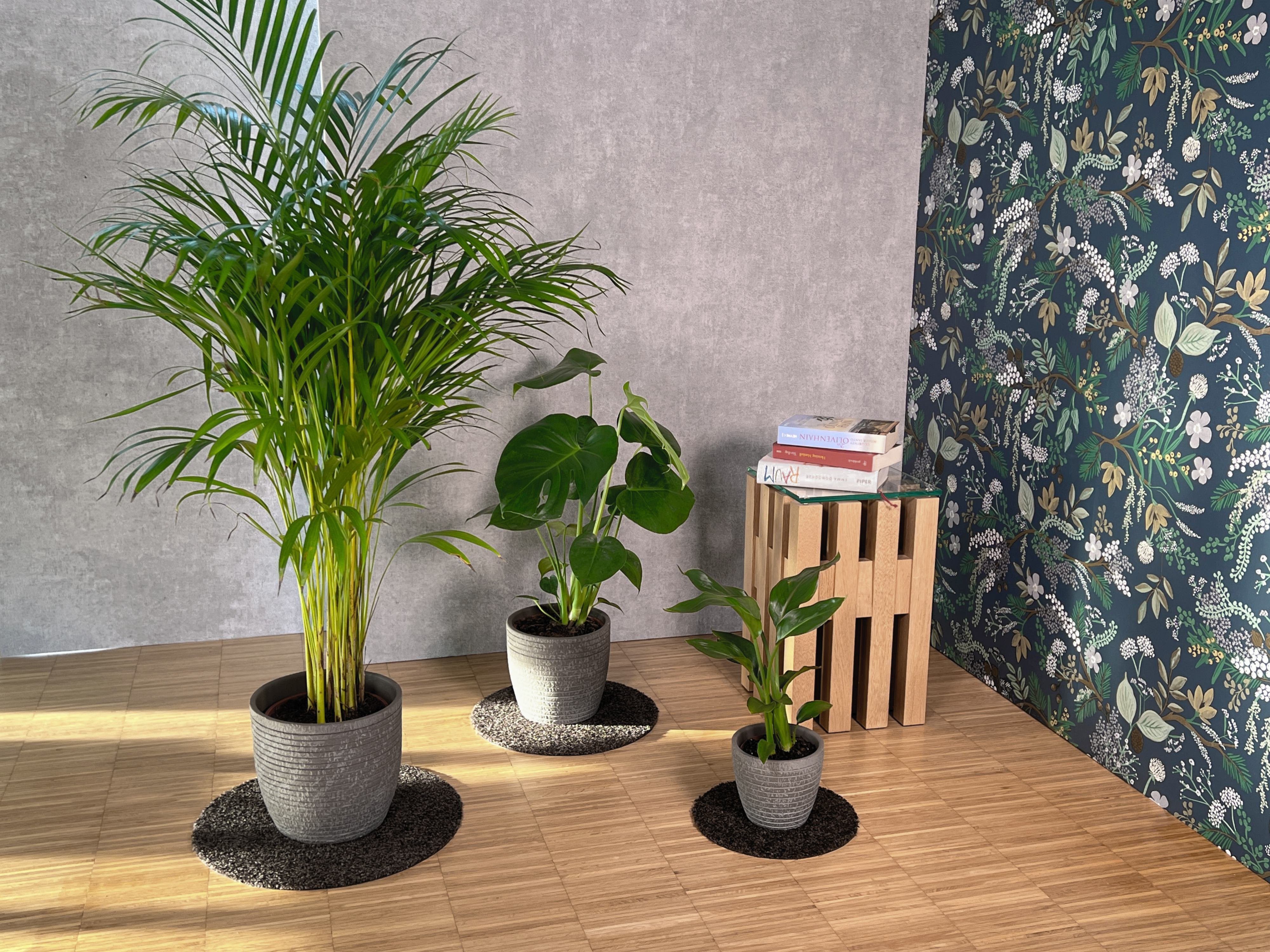 Ø Keilbach Designprodukte 34 flora-m darkgrey cm Blumentopfuntersetzer