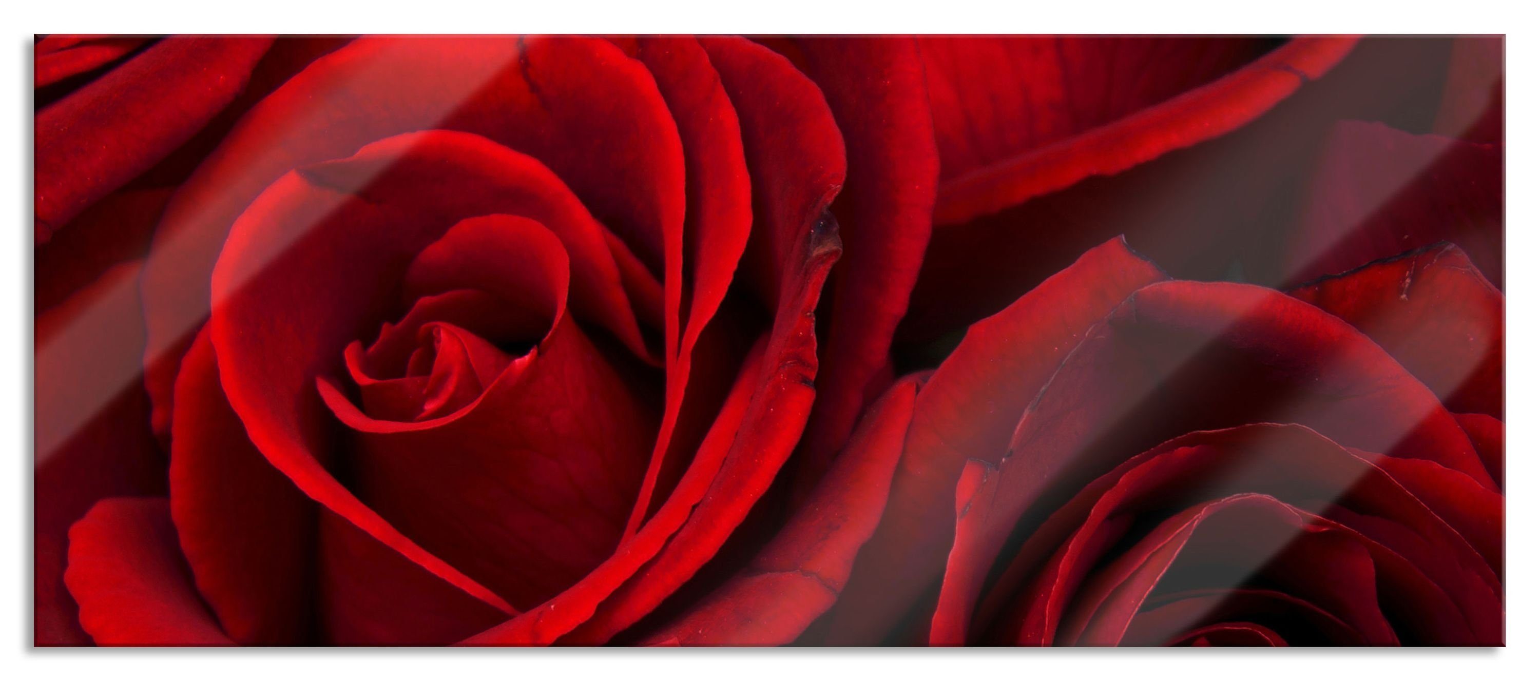 Glasbild rote Rosen